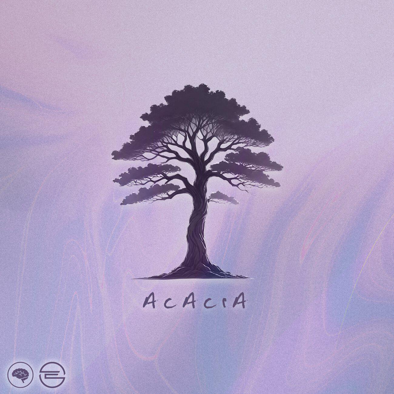 Релиз Acacia