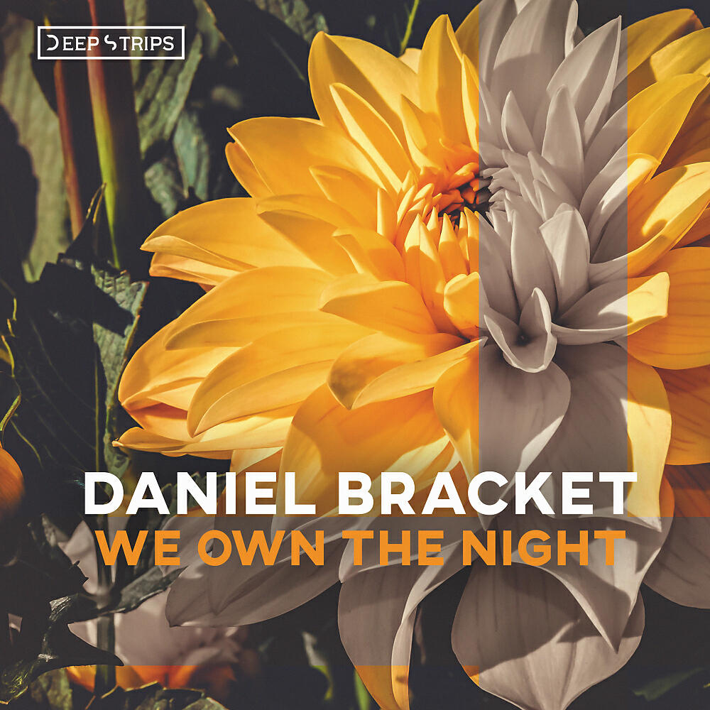 Релиз We Own The Night