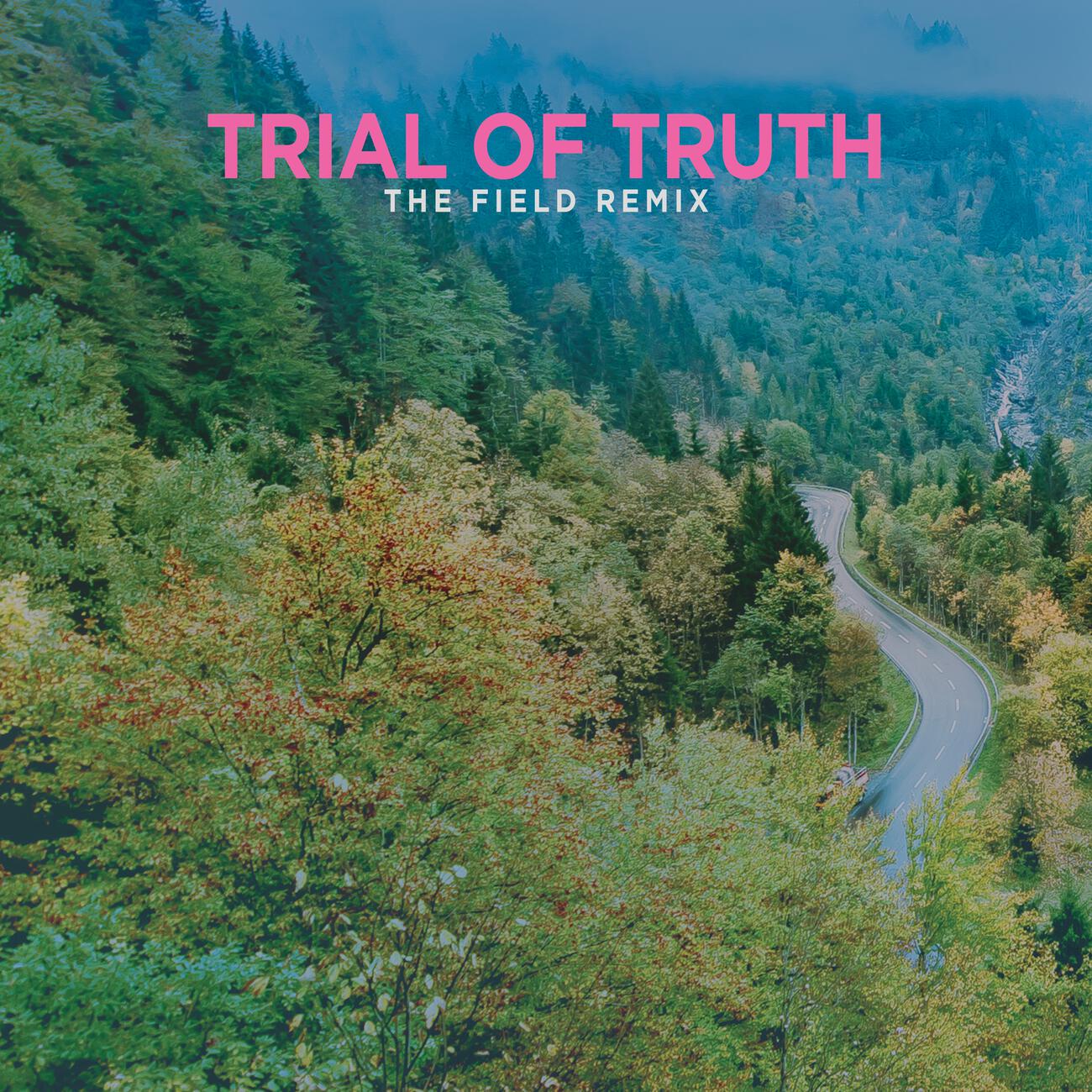 Постер альбома Trial of Truth (The Field Remix)