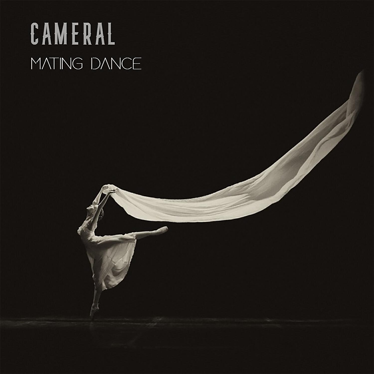 Релиз Mating Dance