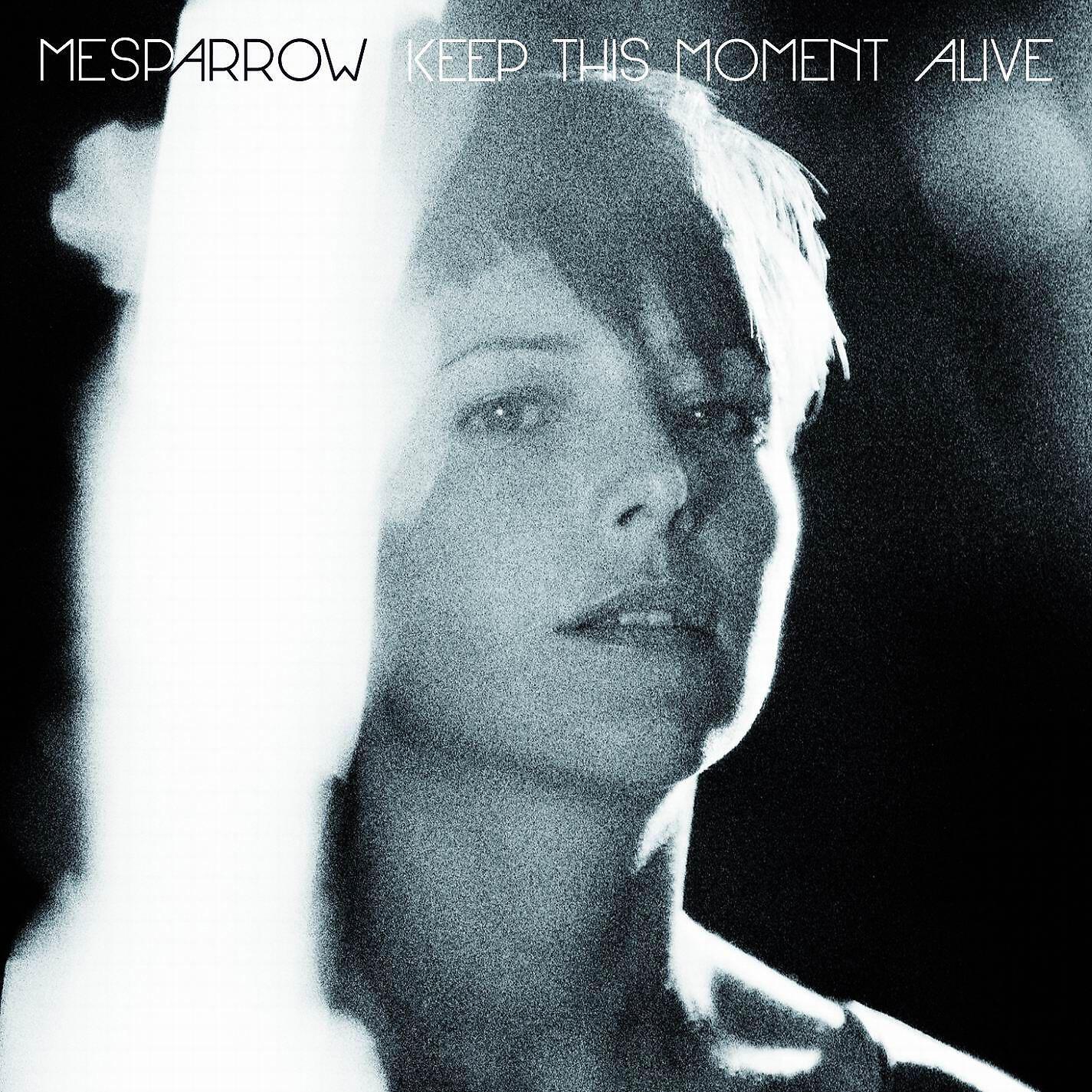 Релиз Keep This Moment Alive