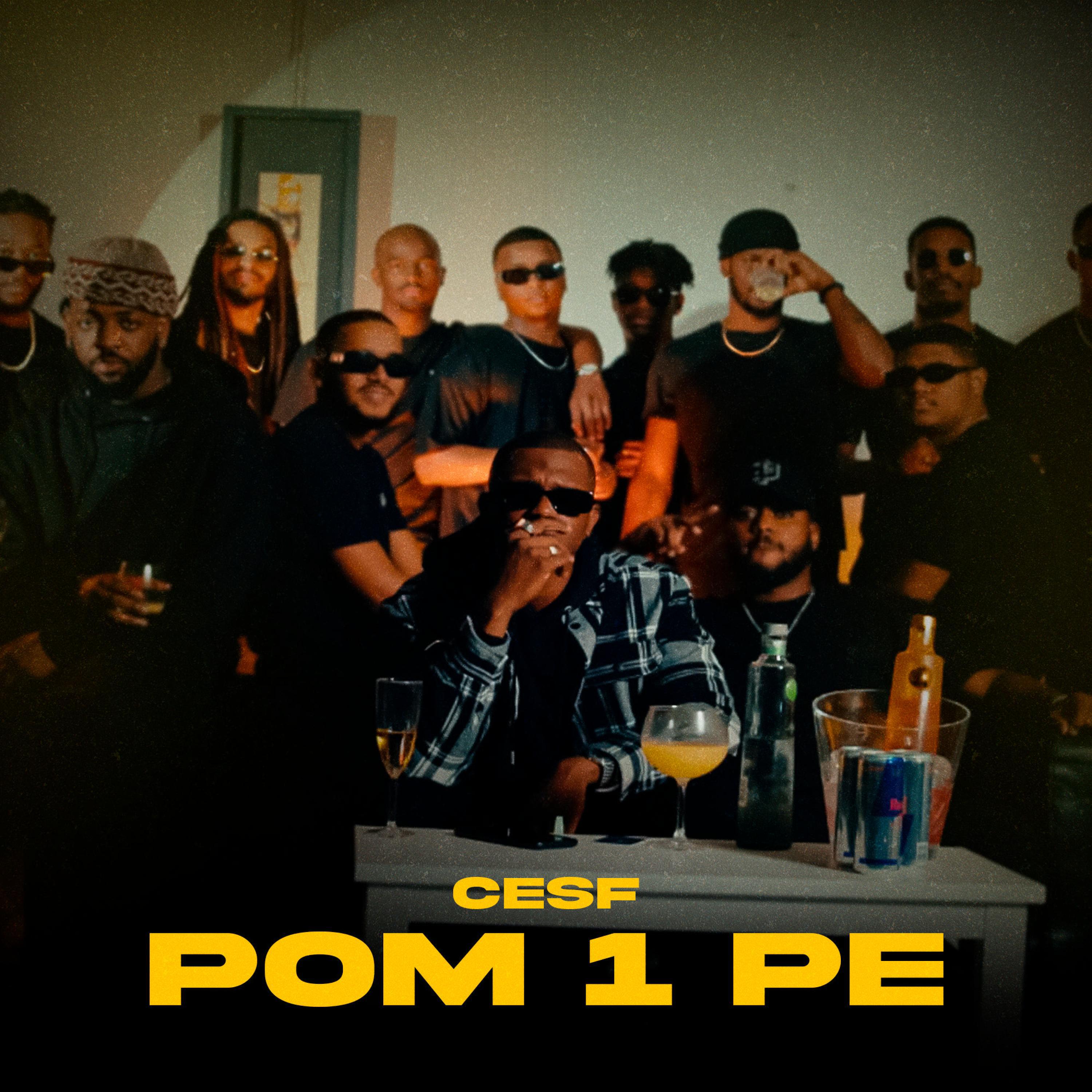 Релиз Pom 1 Pe