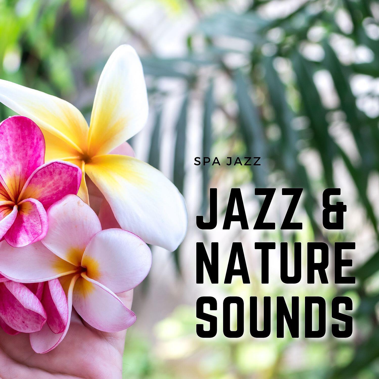 Релиз Jazz & Nature Sounds