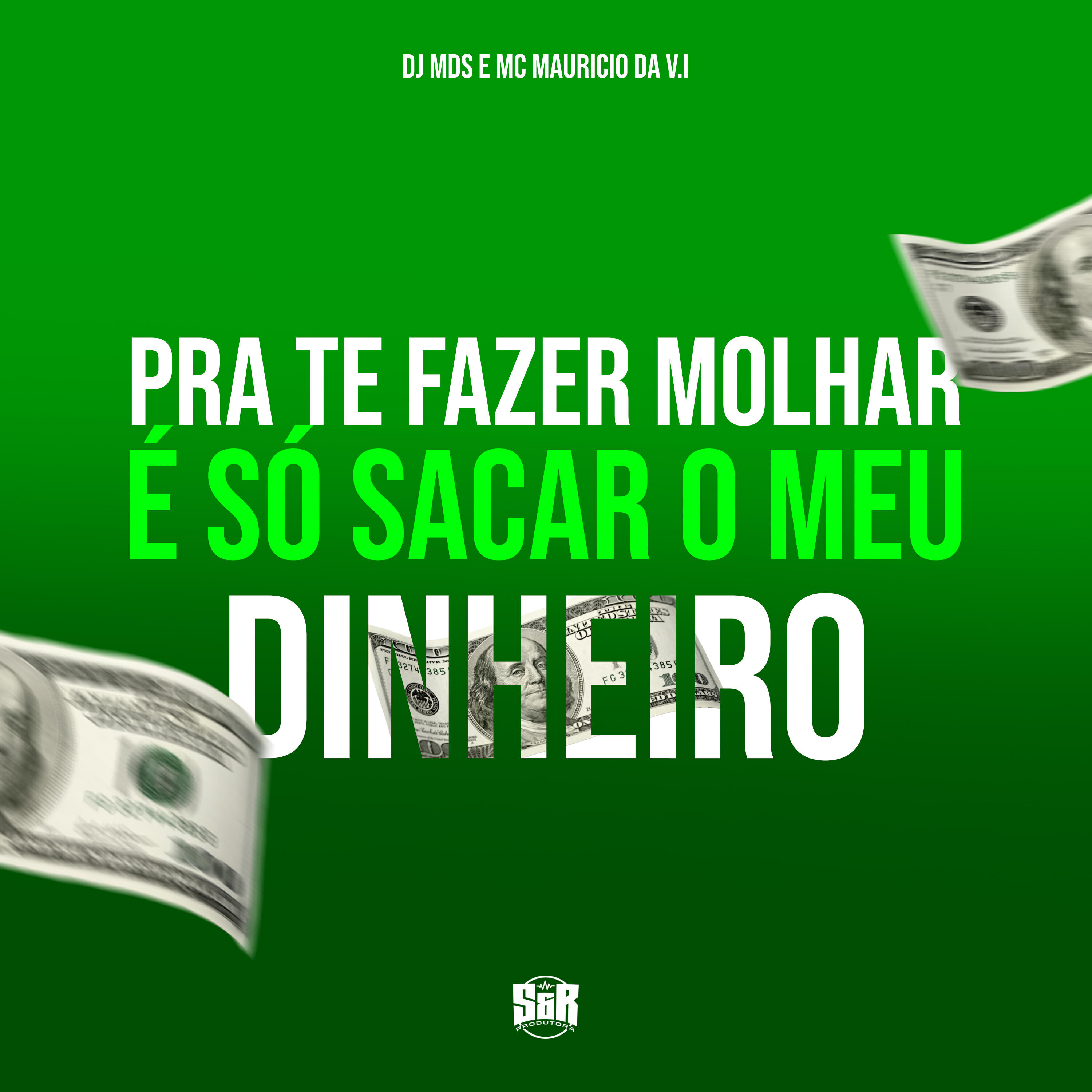 Скачать песню DJ MDS, MC Mauricio da V.I - Pra Te Fazer Molhar É Só Sacar o Meu Dinheiro бесплатно в MP3 для Android и iOS
