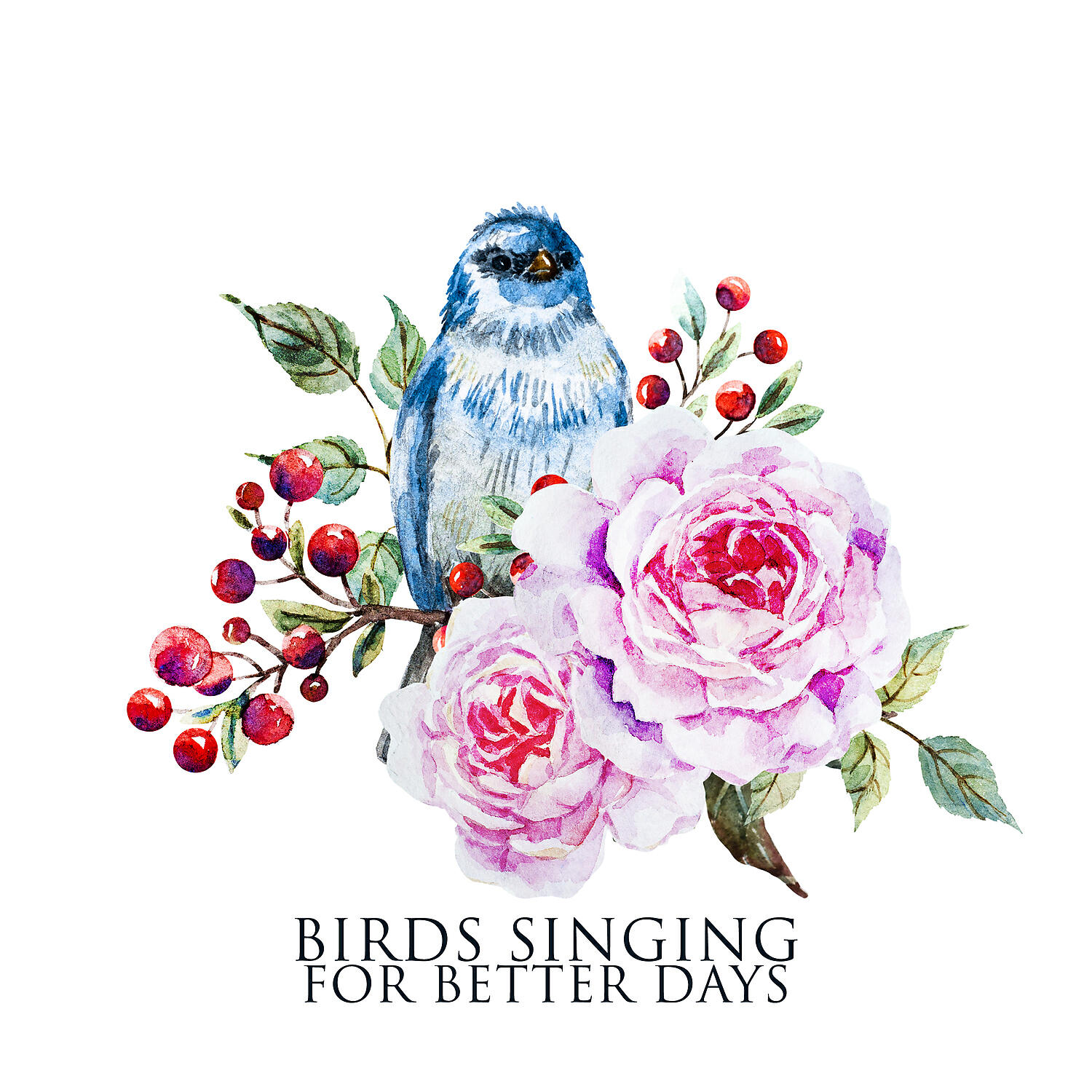 Singing Birds Zone
