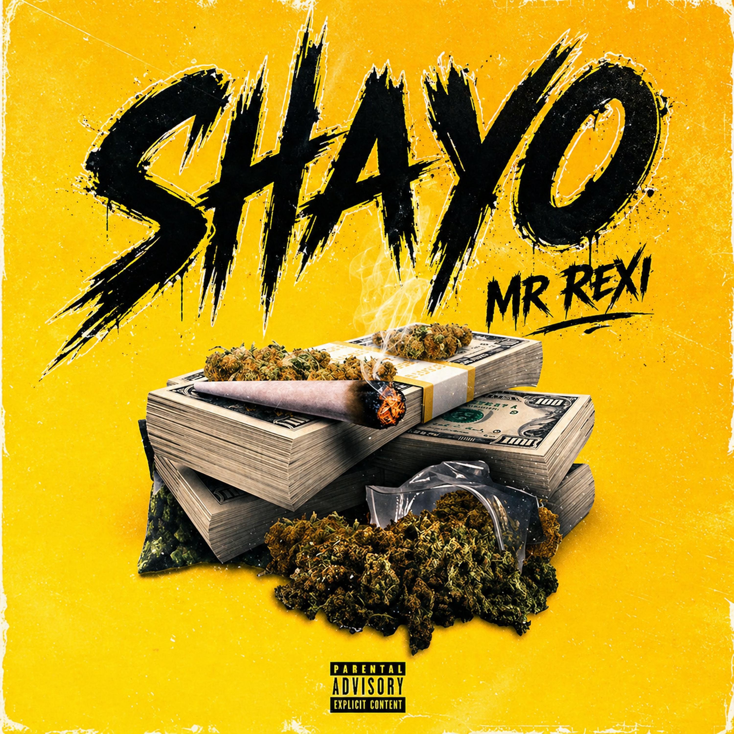 Mr Rexi
