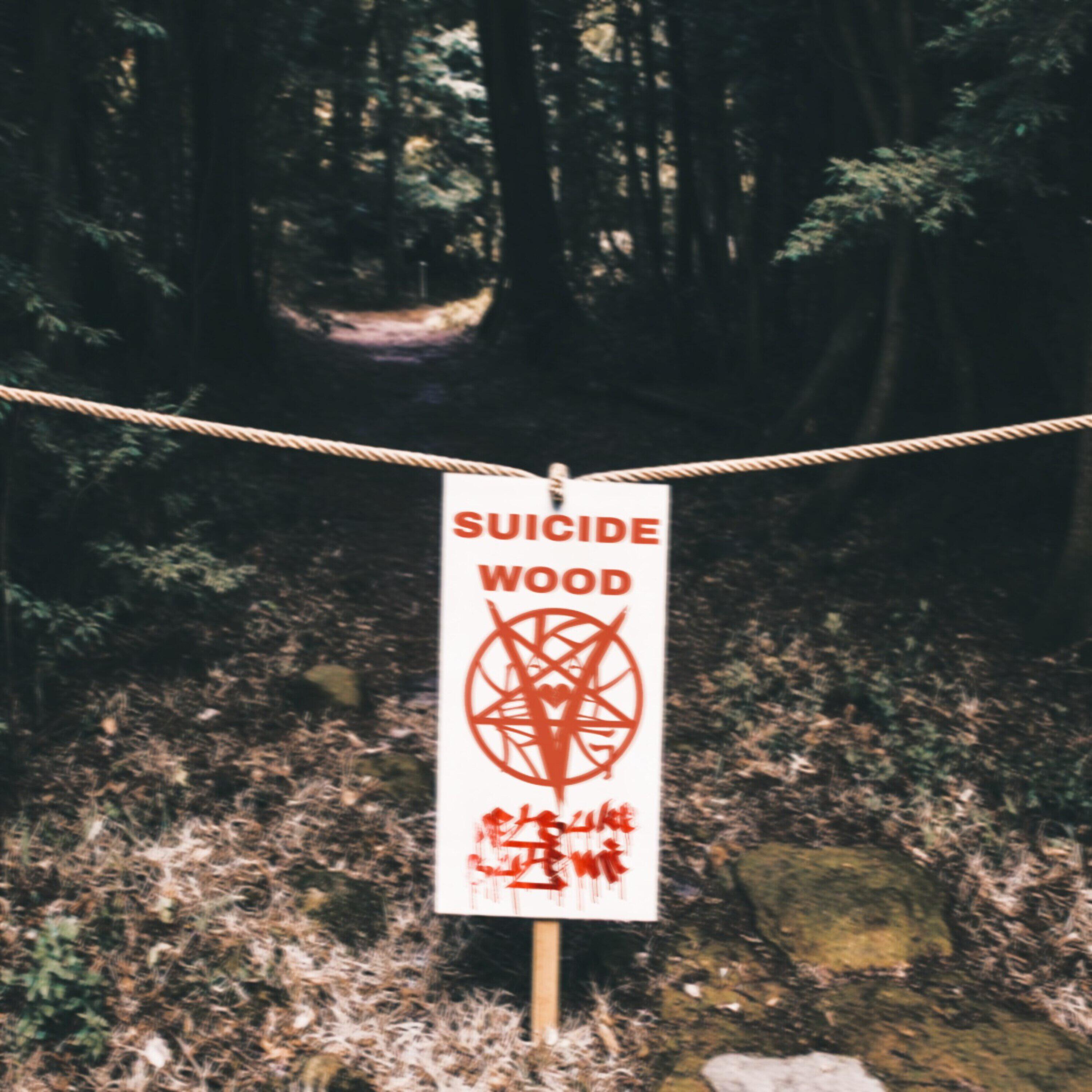 Релиз SUICIDE WOOD/METSUKE SUTEMI
