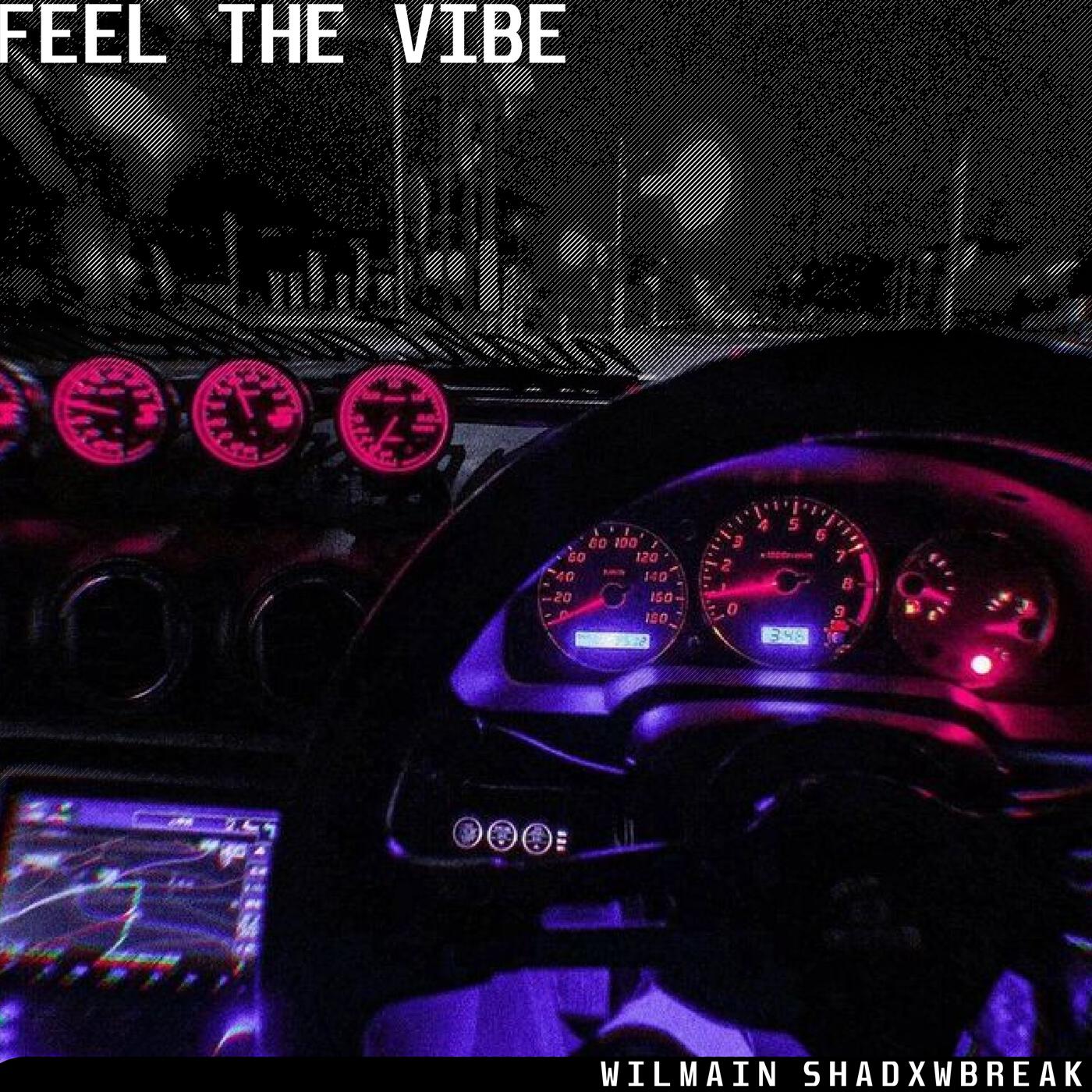 Постер альбома Feel the Vibe