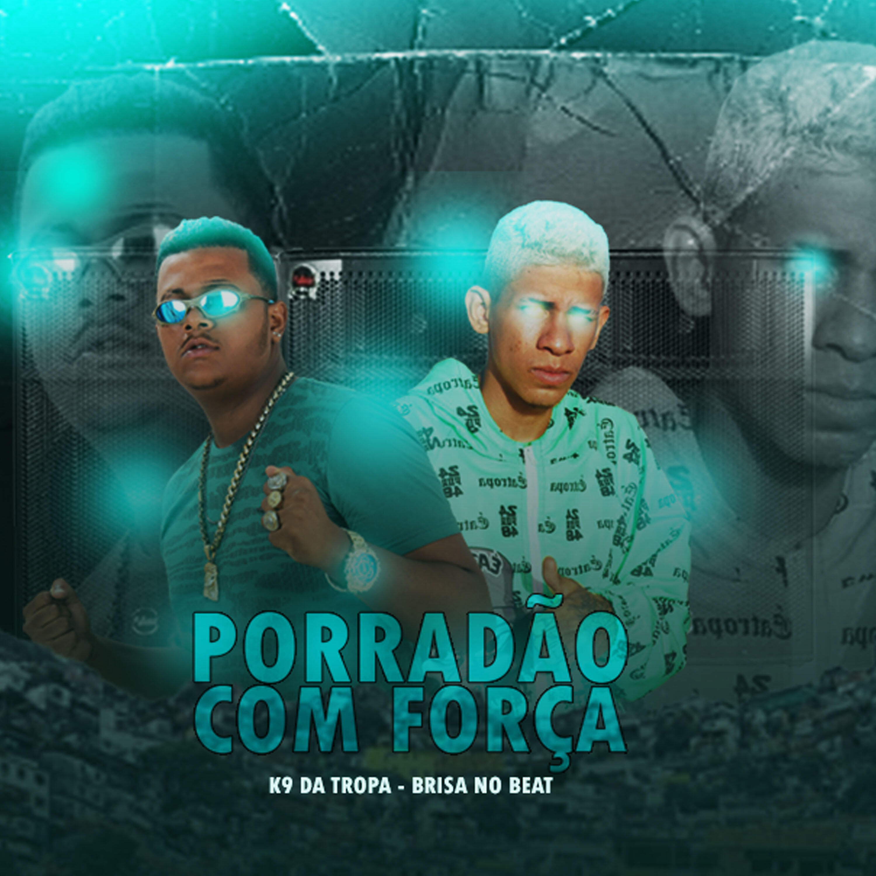 Скачать песню K9 Da Tropa, Brisa no Beat - Porradão Com Força бесплатно в MP3 для Android и iOS