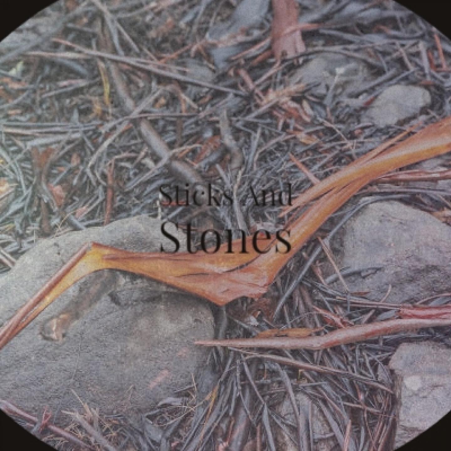 Релиз Sticks and Stones