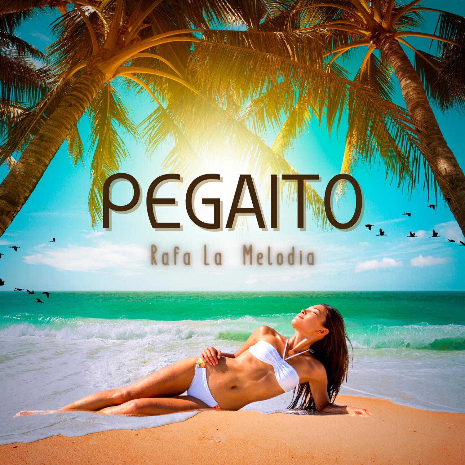 Релиз Pegaito
