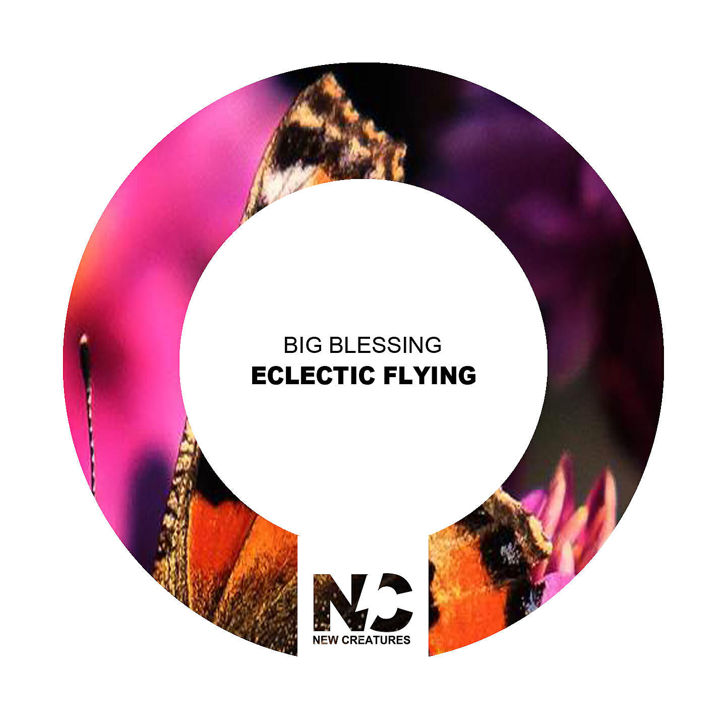 Релиз Eclectic Flying