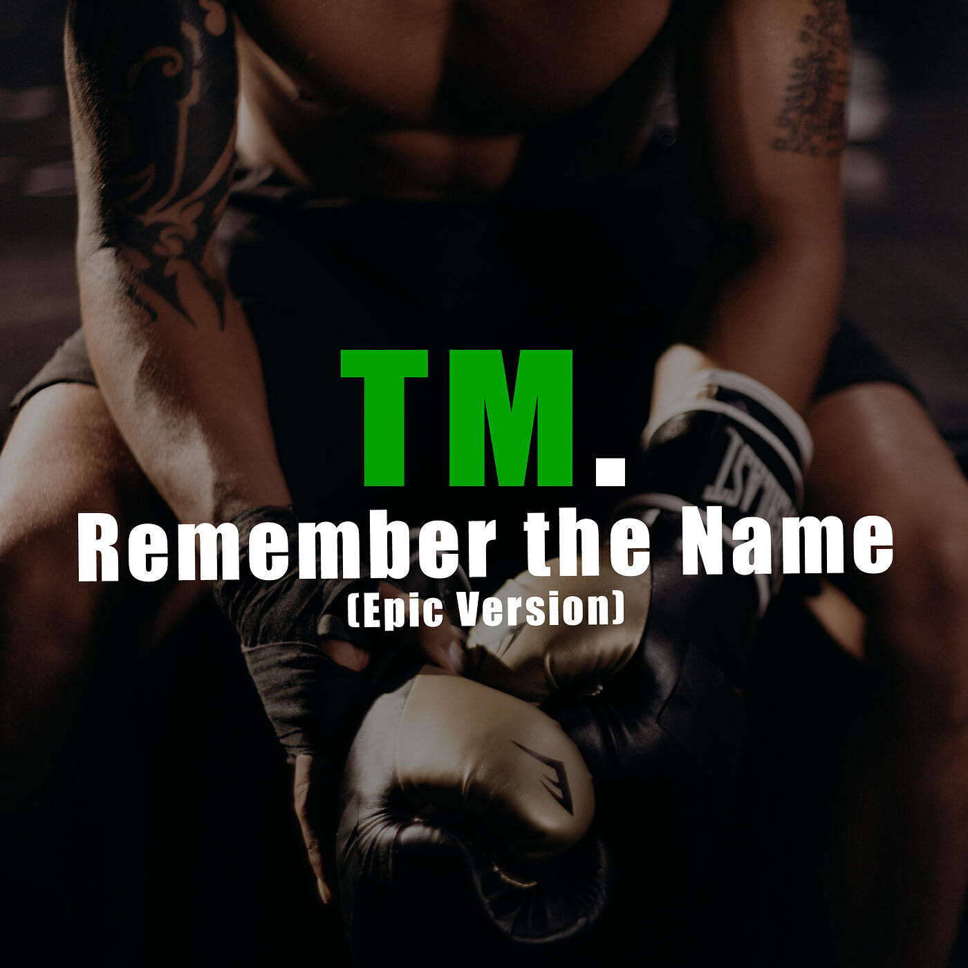 Постер альбома Remember the Name (Epic Version)
