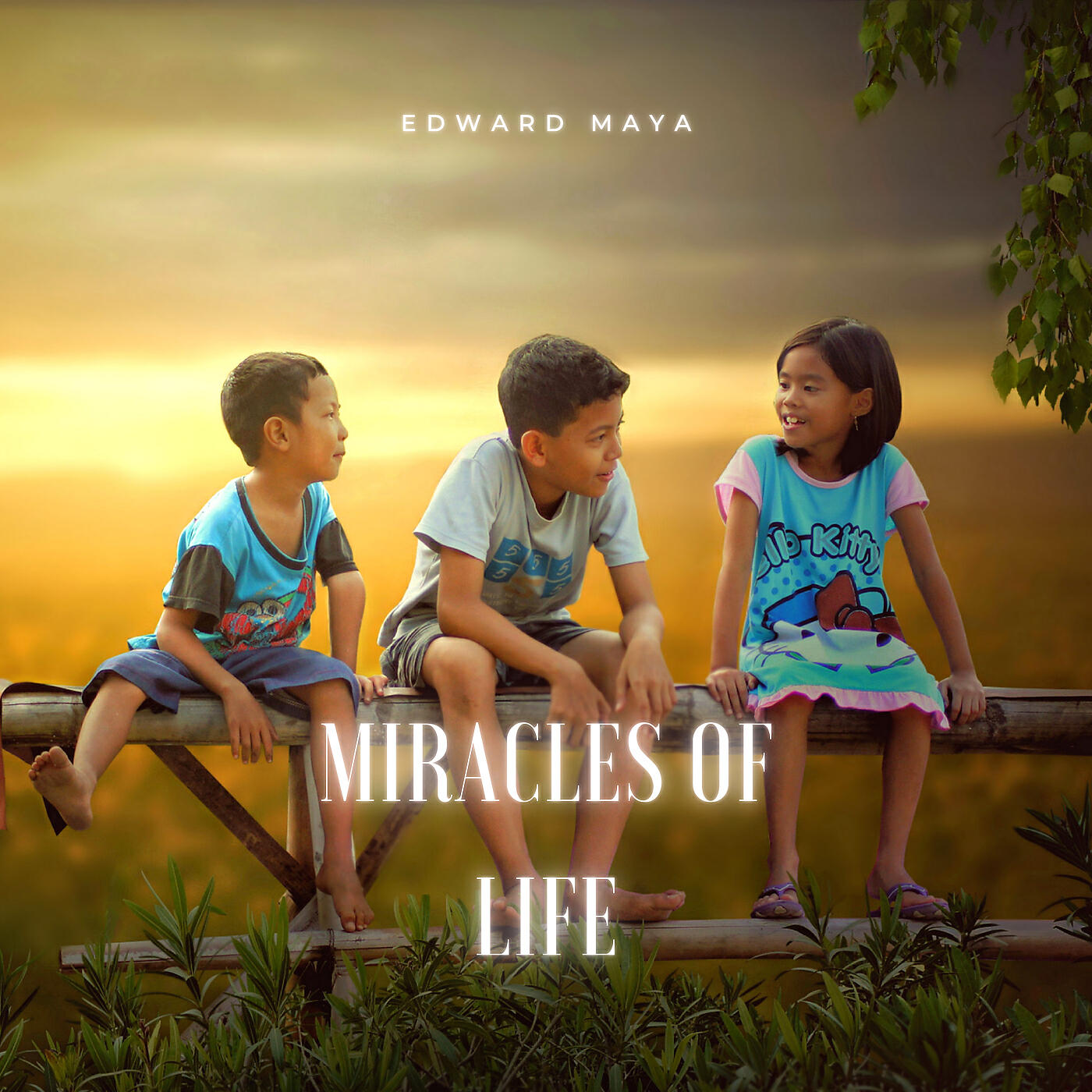 Релиз Miracles of Life