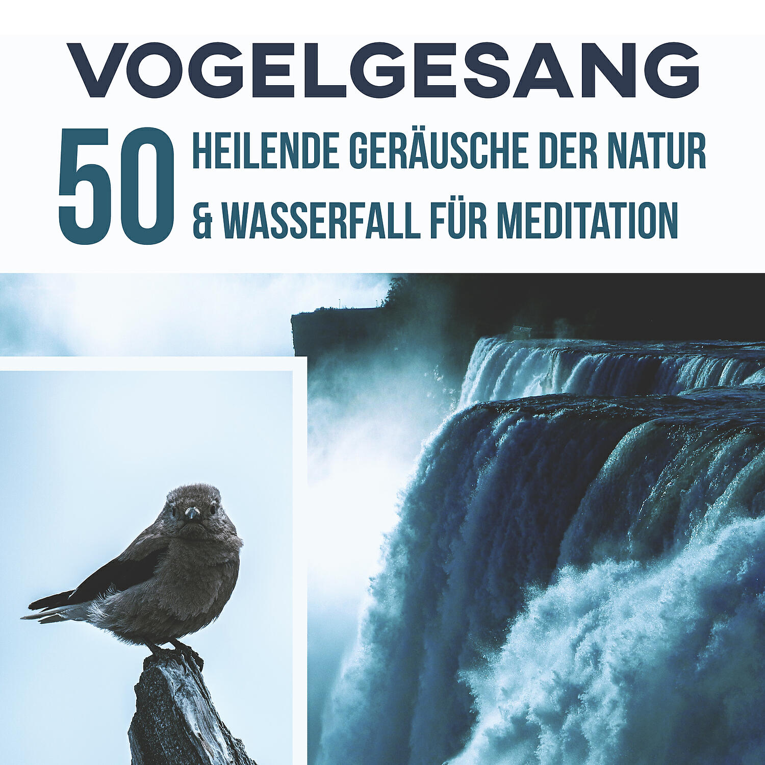 Релиз Vogelgesang: 50 Heilende Geräusche der Natur & Wasserfall für Meditation, Yoga mit Anti-Stress-Musik, Gesundheitsfördernde Entspannungsmusik
