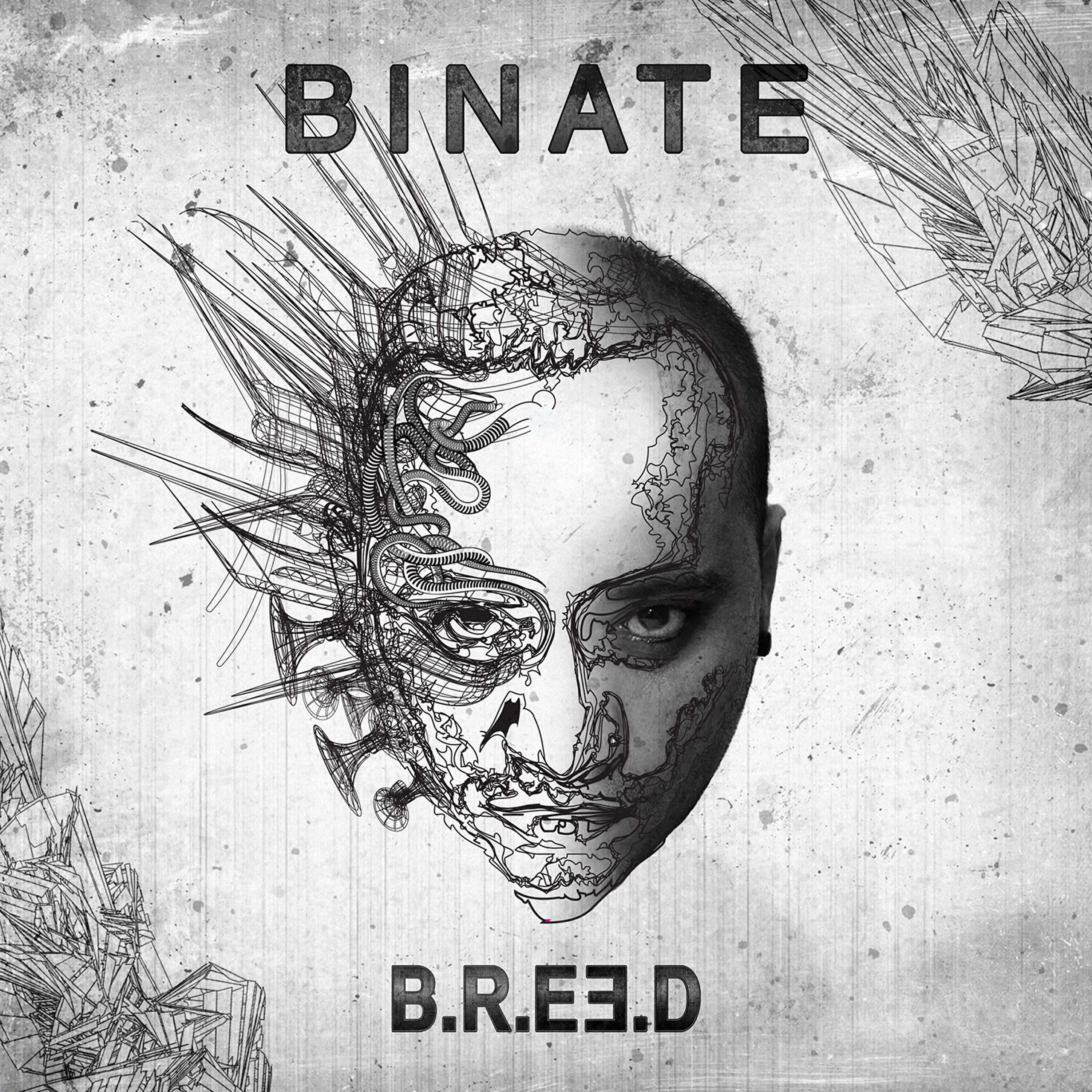 Релиз Binate