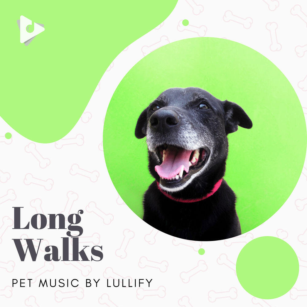 Релиз Long Walks