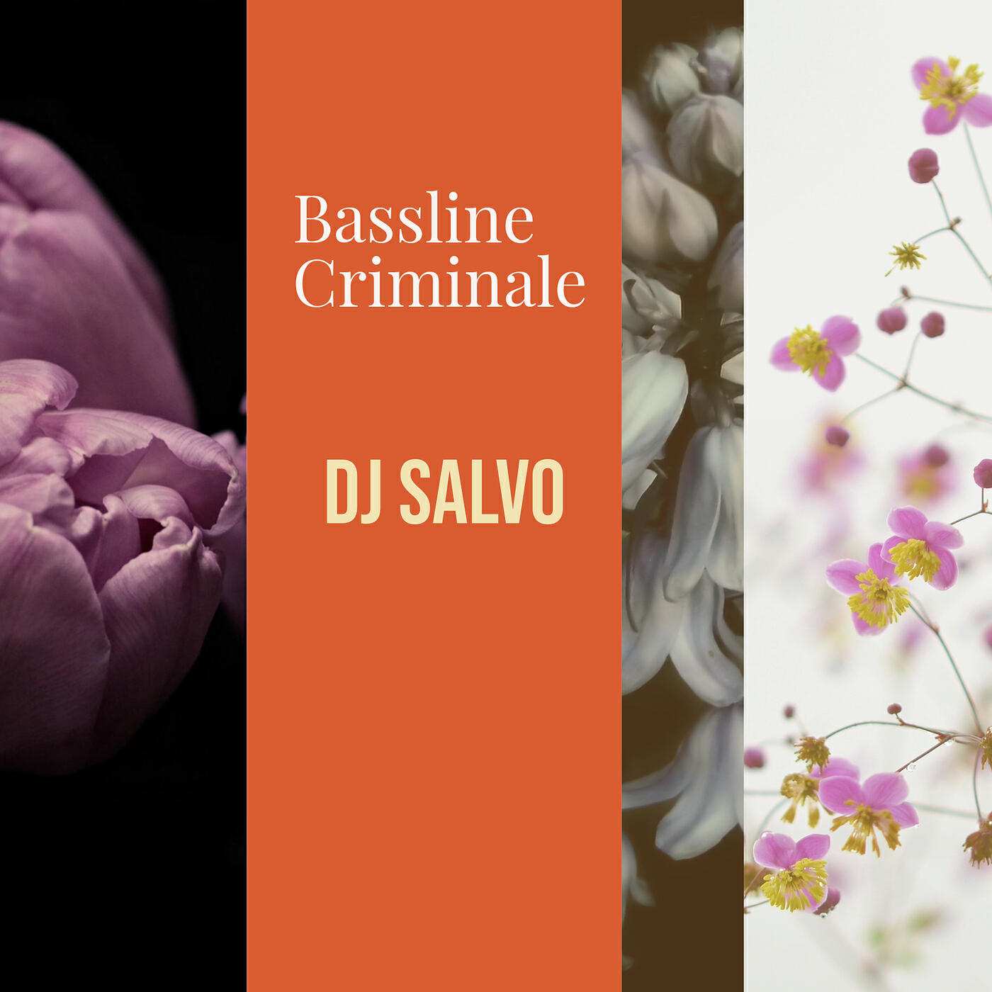 Релиз Bassline Criminale