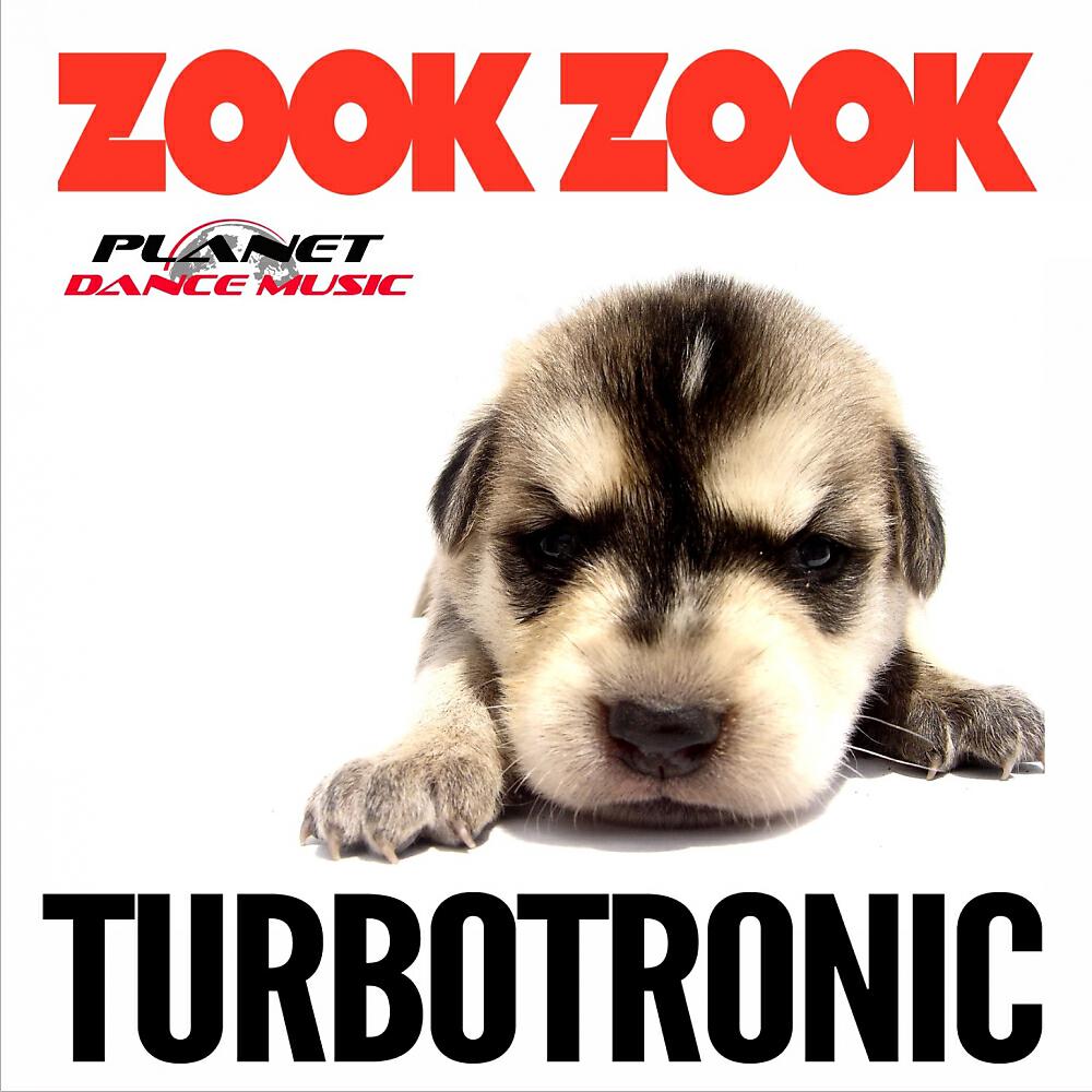 Постер альбома Zook Zook