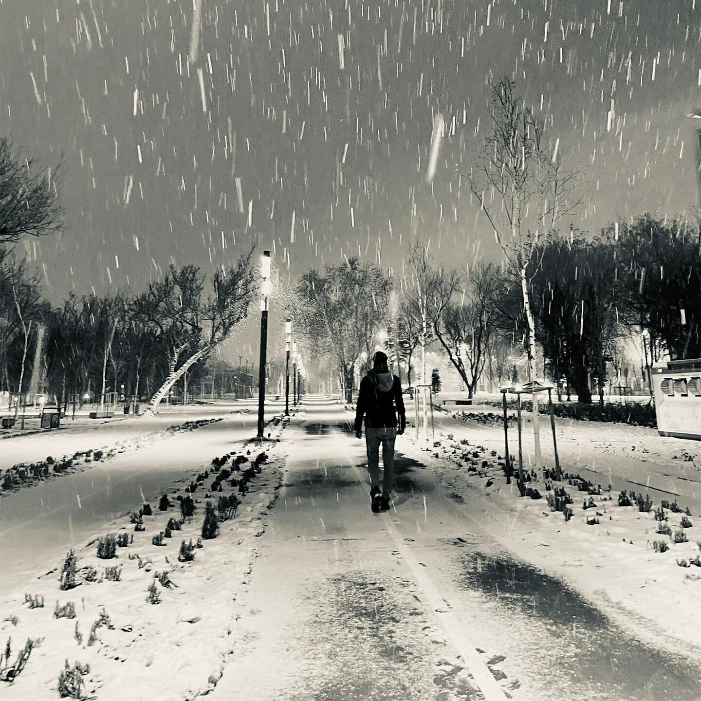 Релиз İçince Özledim