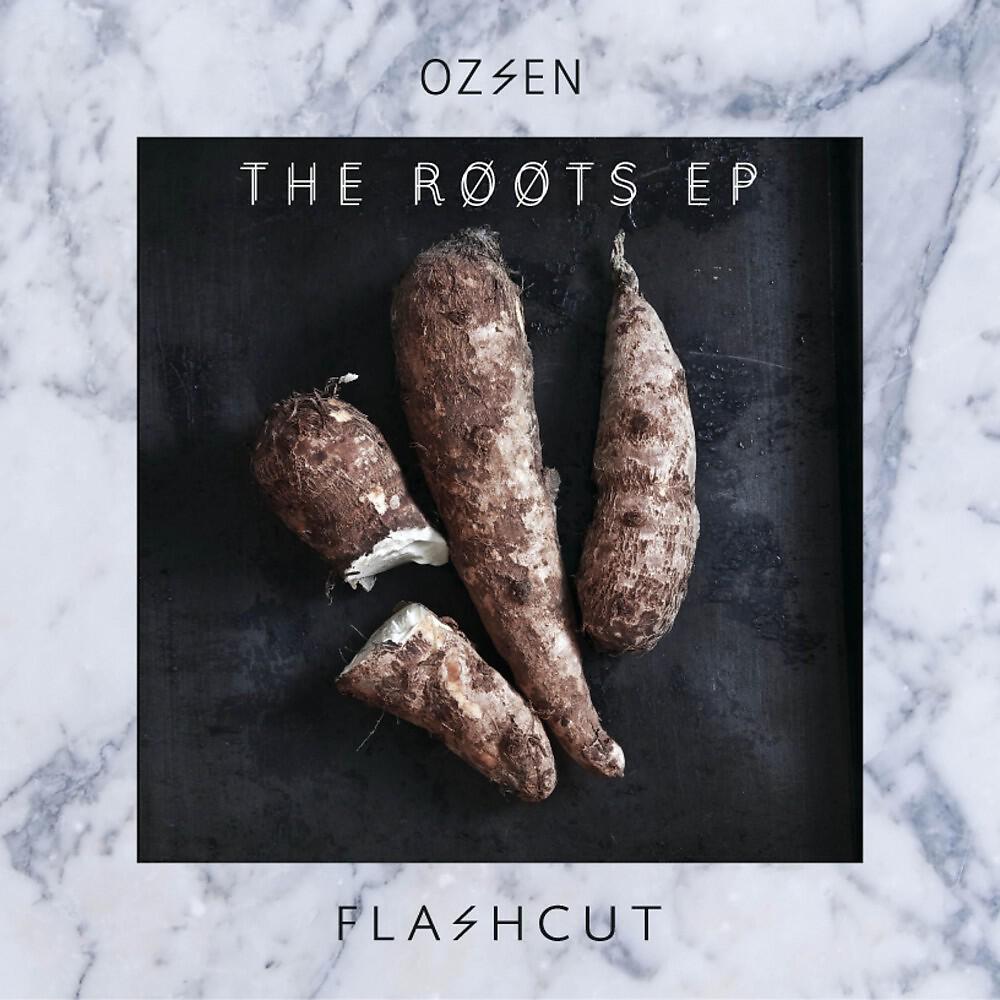 Постер альбома The Roots EP