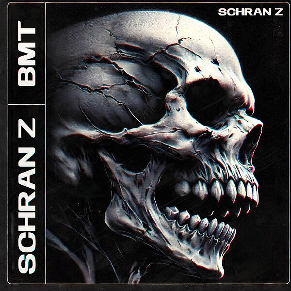 Релиз Schran Z