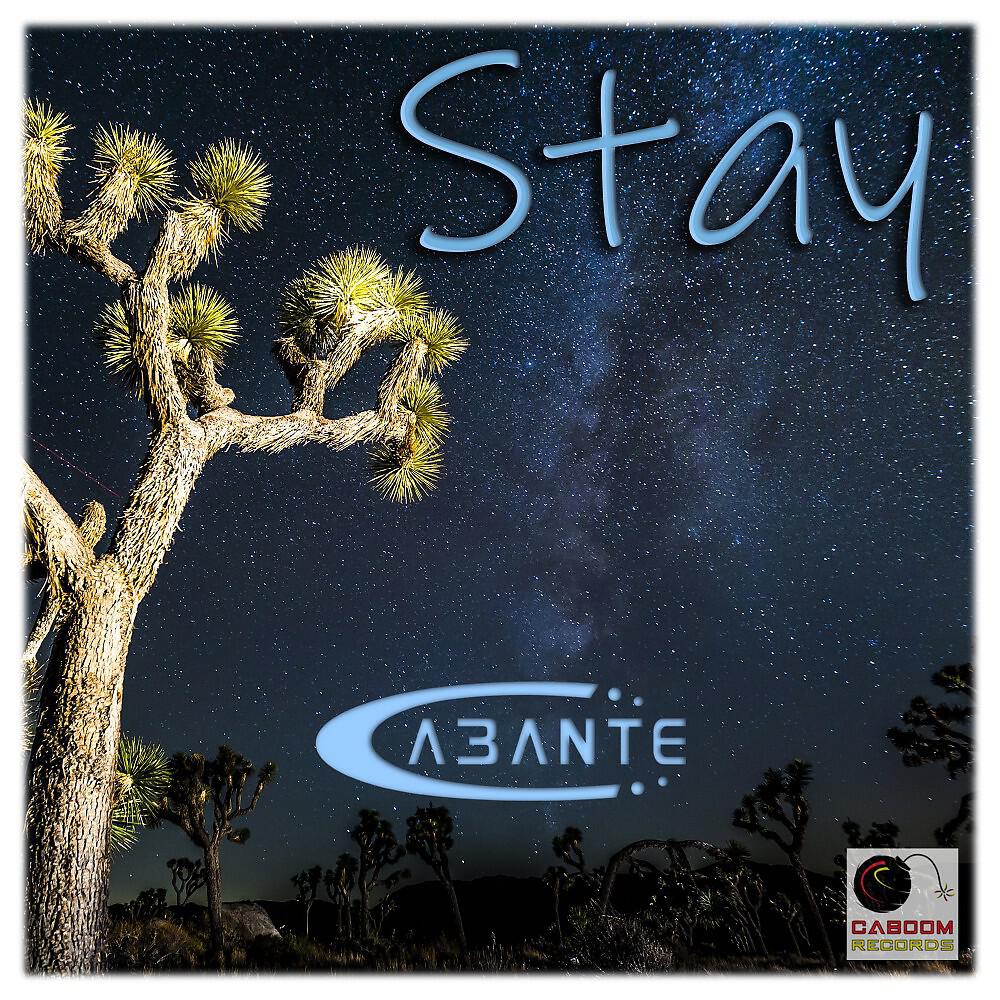 Релиз Stay