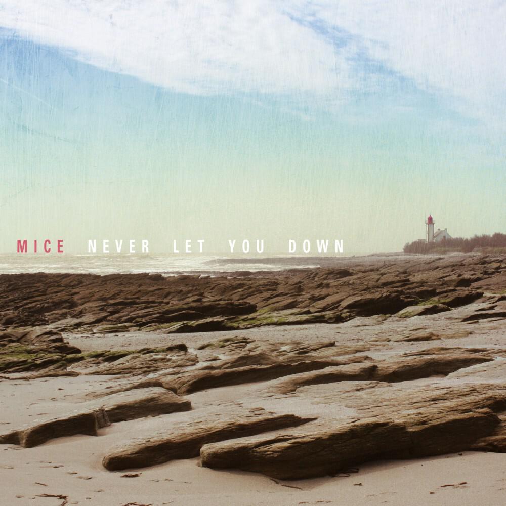 Релиз Never Let You Down