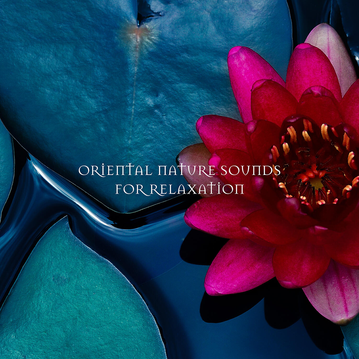 Релиз Oriental Nature Sounds for Relaxation
