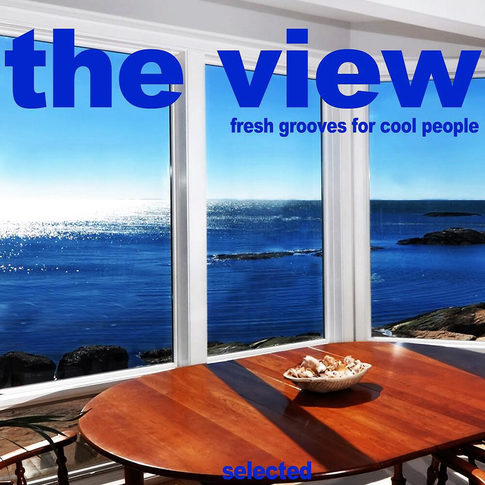 Релиз The View (Fresh Grooves for Cool People)
