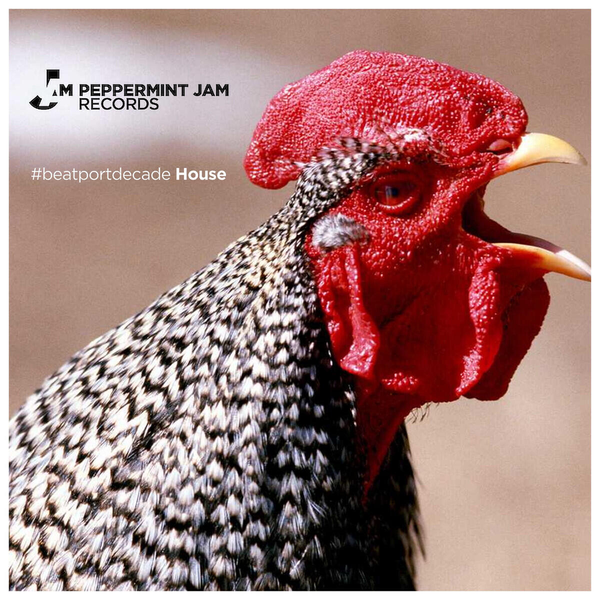 Релиз Peppermint Jam #BeatportDecade House