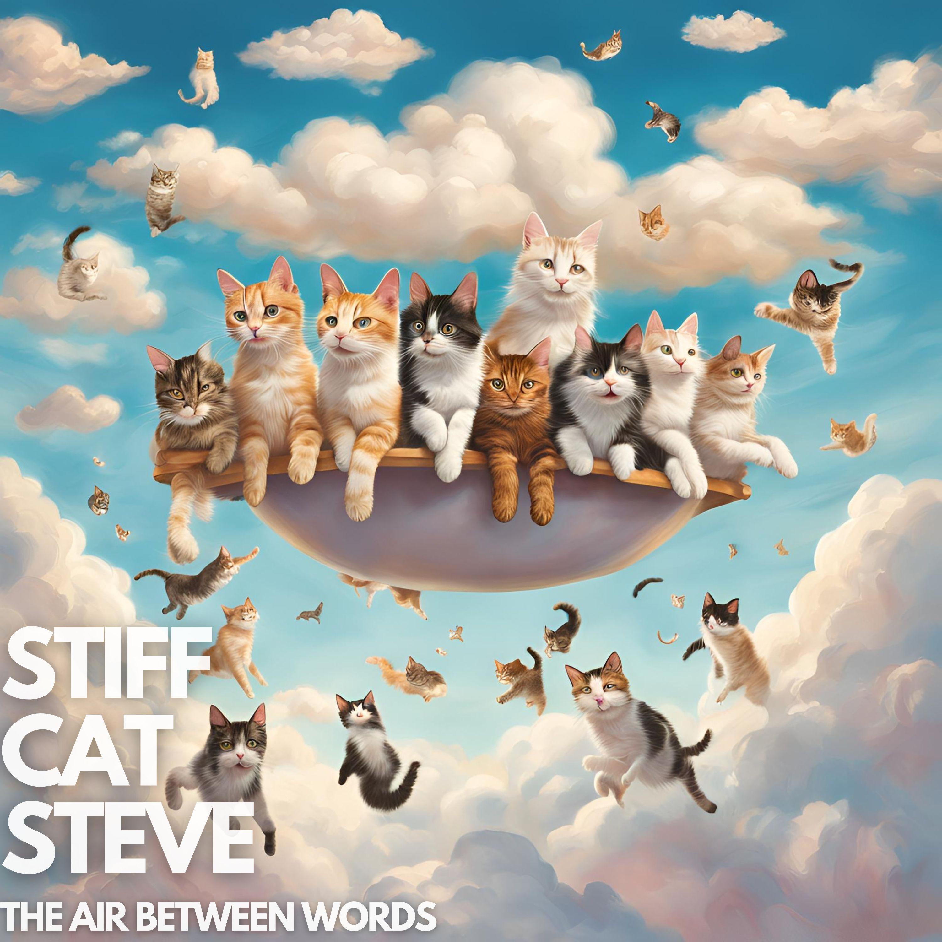 Stiff Cat Steve