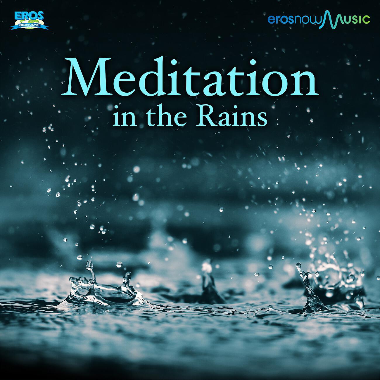 Релиз Meditation In The Rain - Single