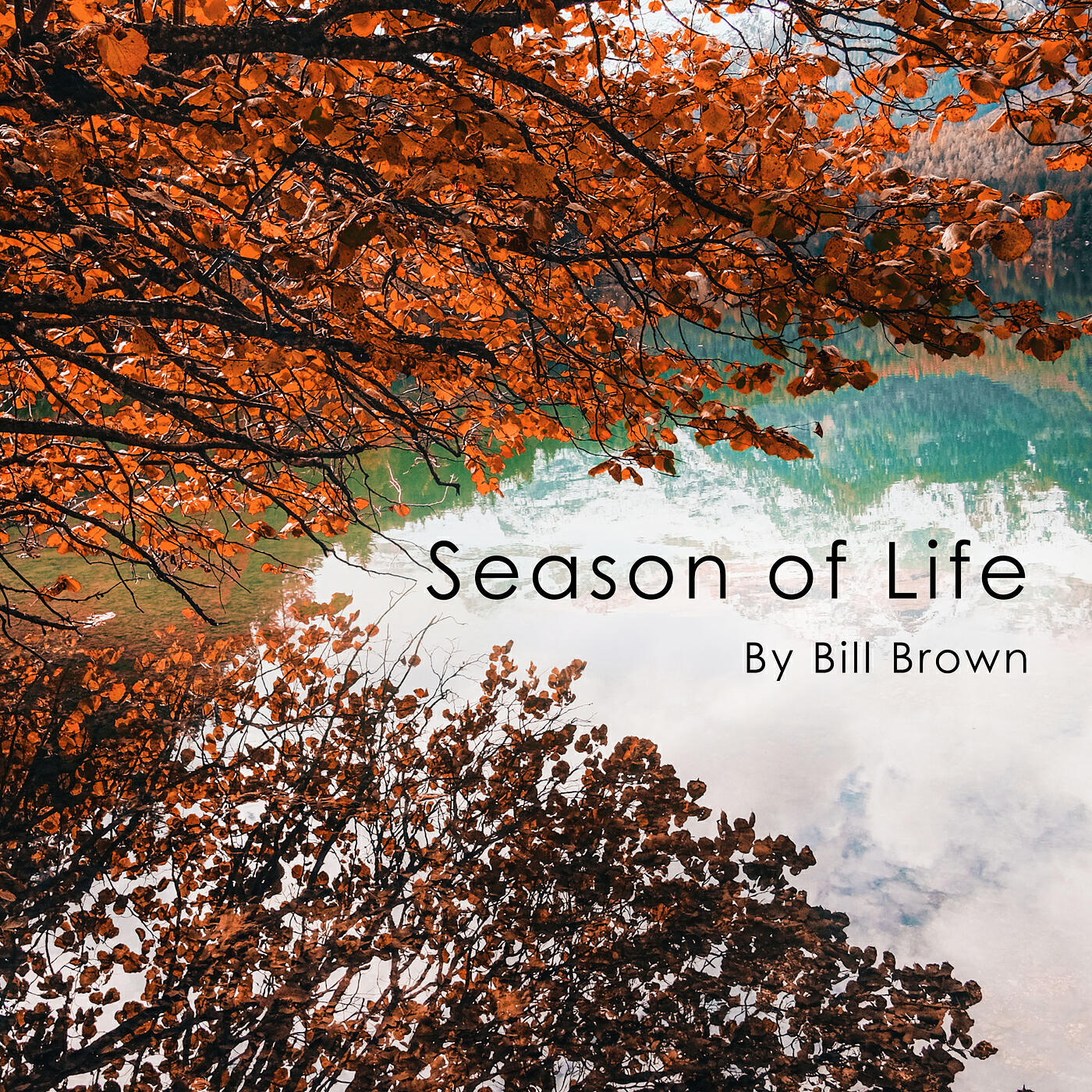 Релиз Season of Life