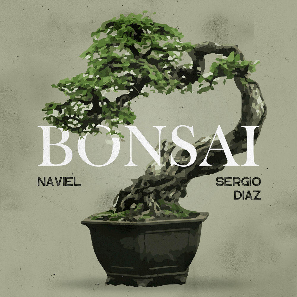 Релиз Bonsai