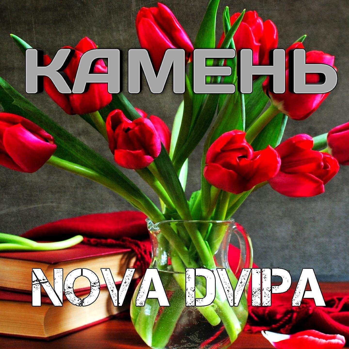 Nova Dvipa