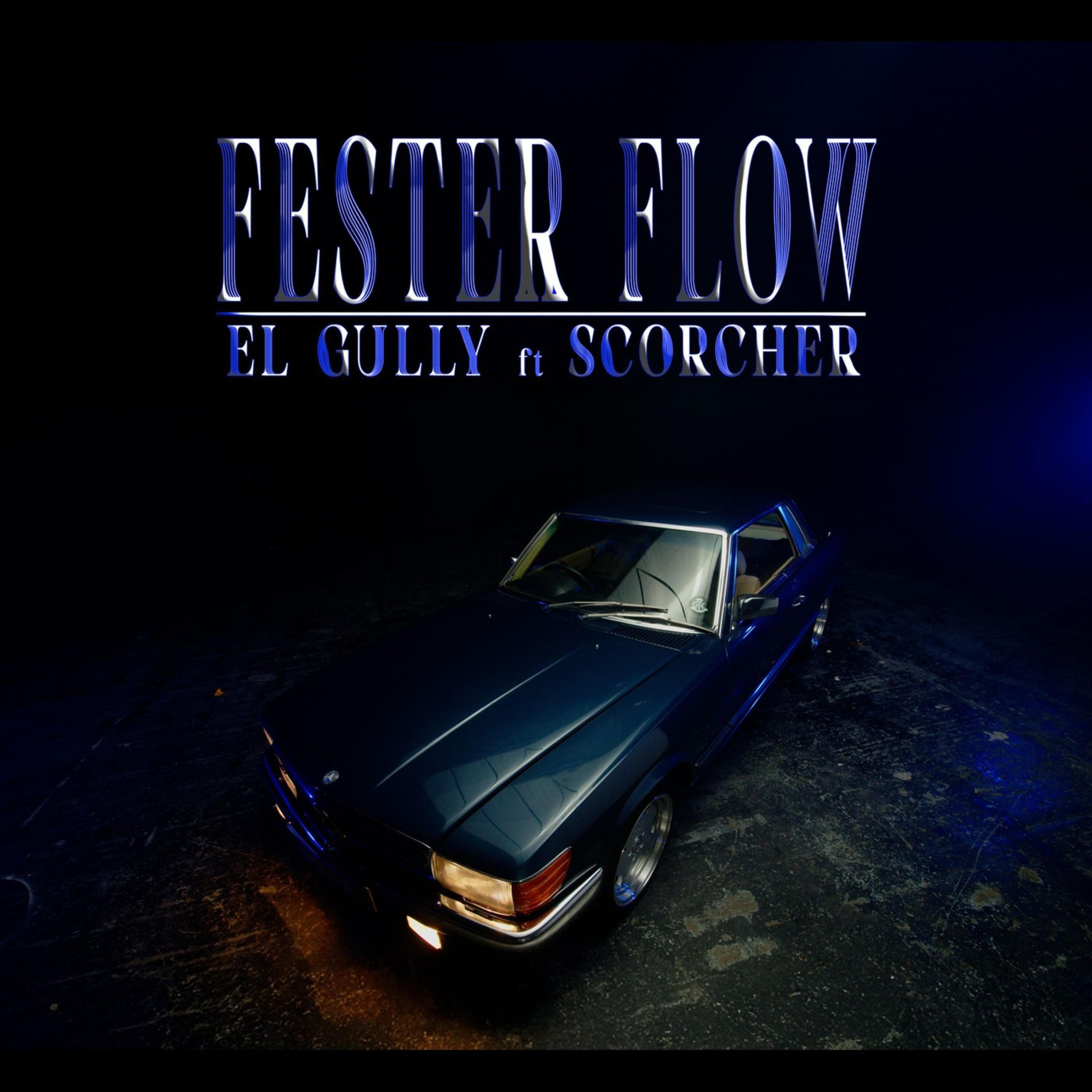 Релиз Fester Flow