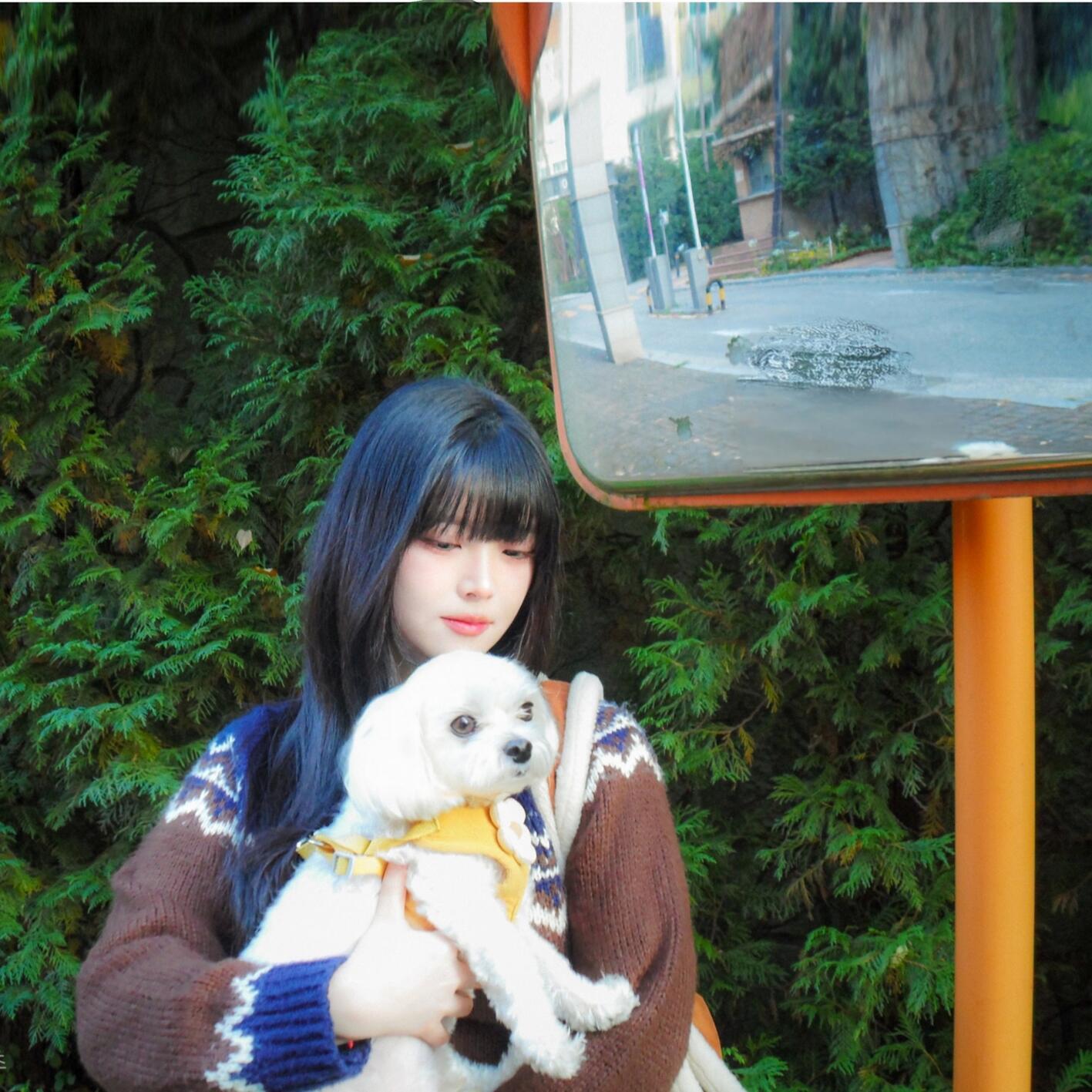 Релиз Dear Memories