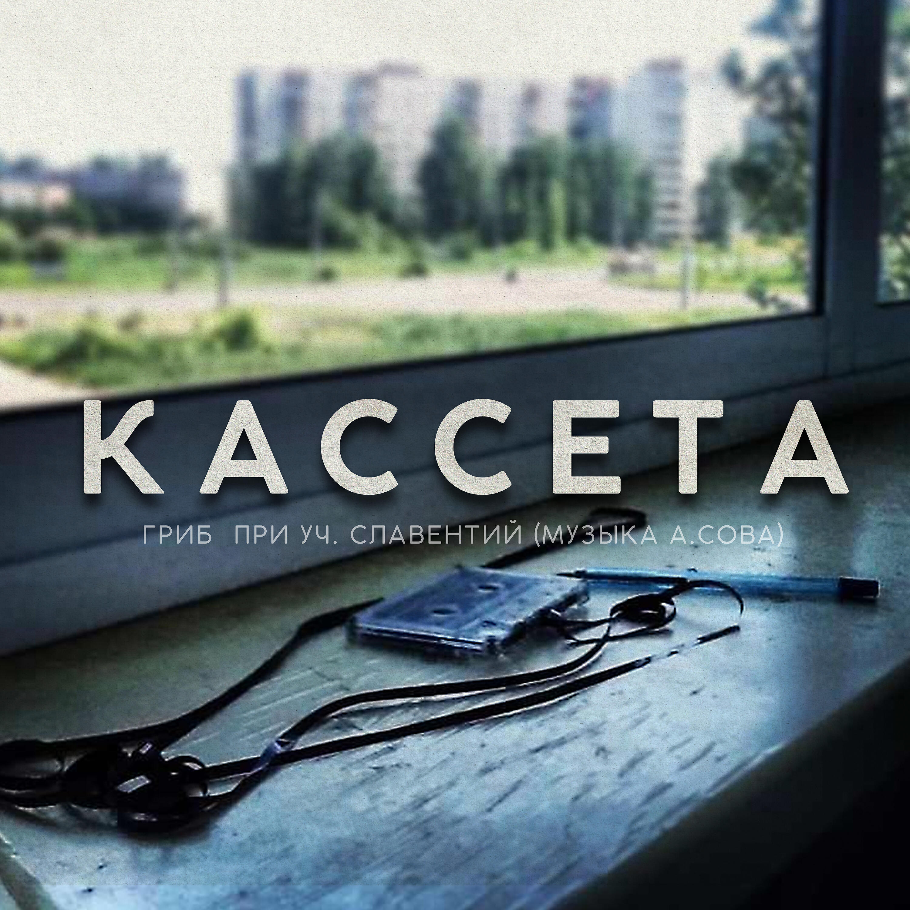 Релиз Кассета