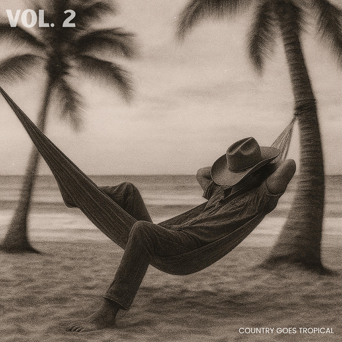 Релиз Country Goes Tropical, Vol.2