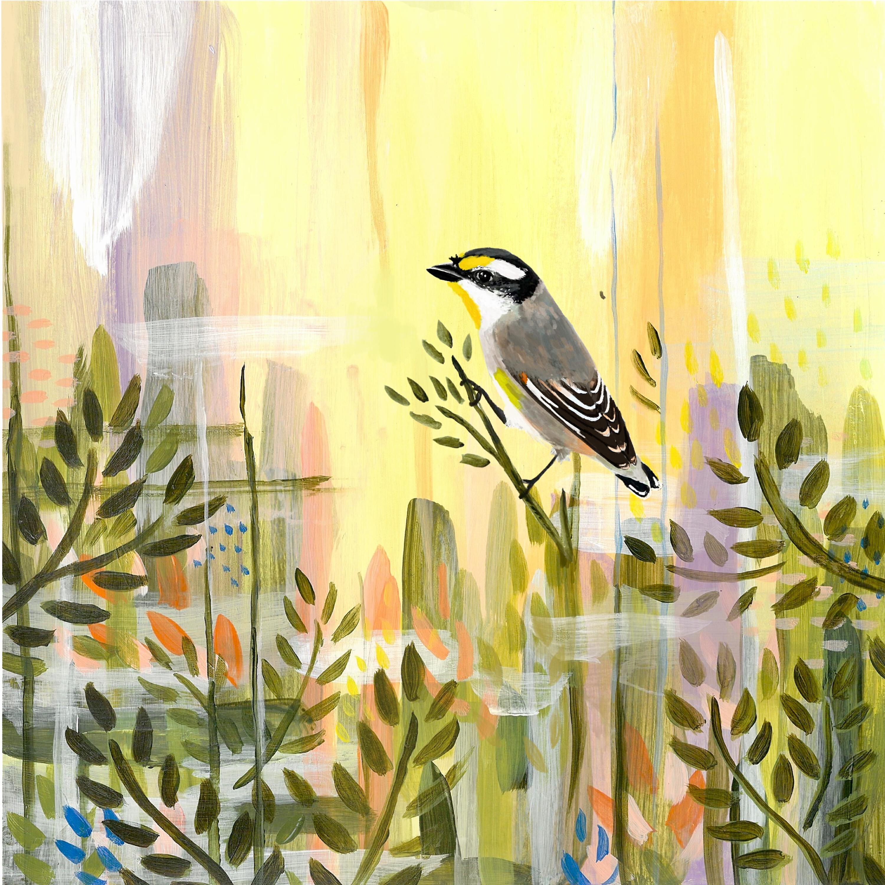 cln, Px - That Place