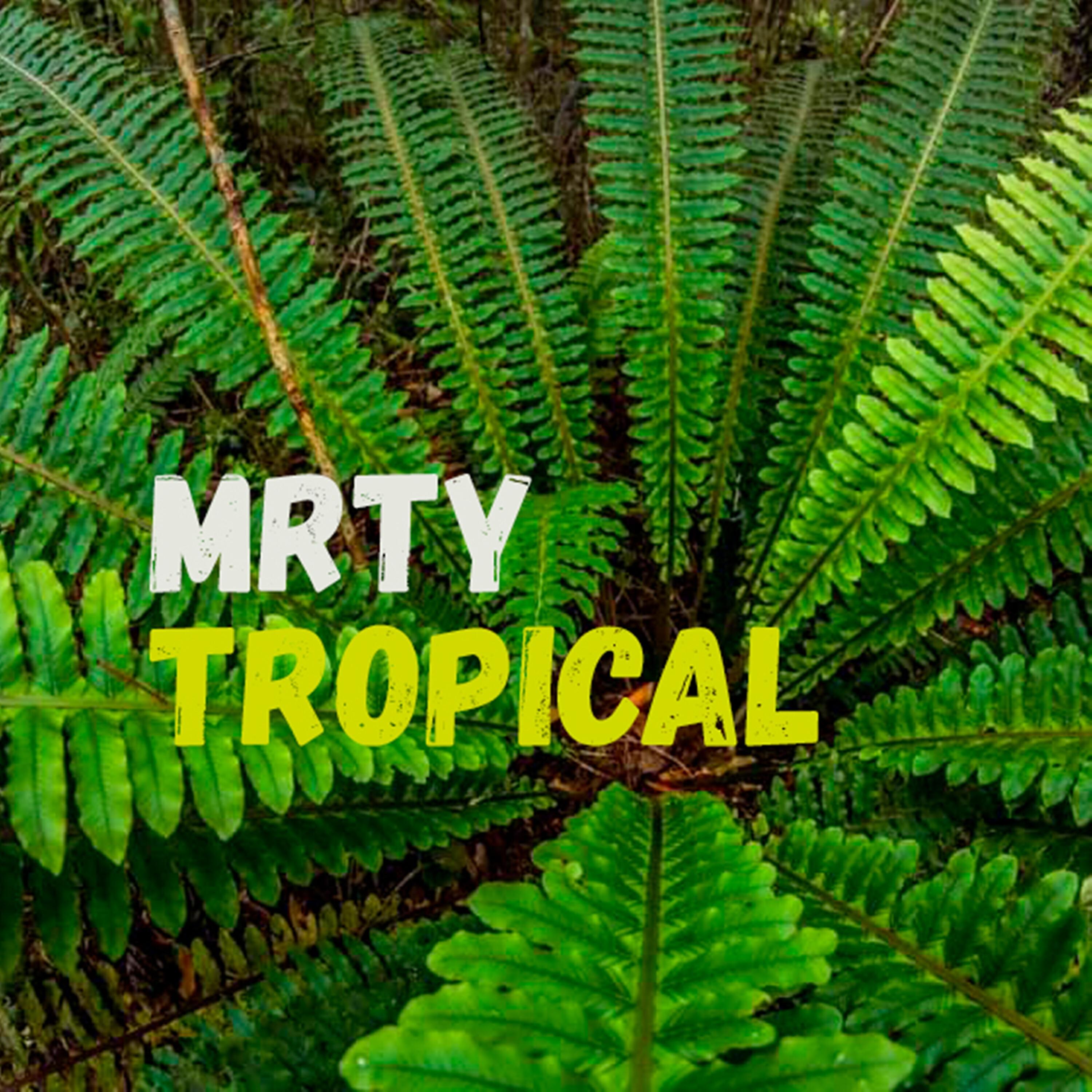 Релиз Tropical