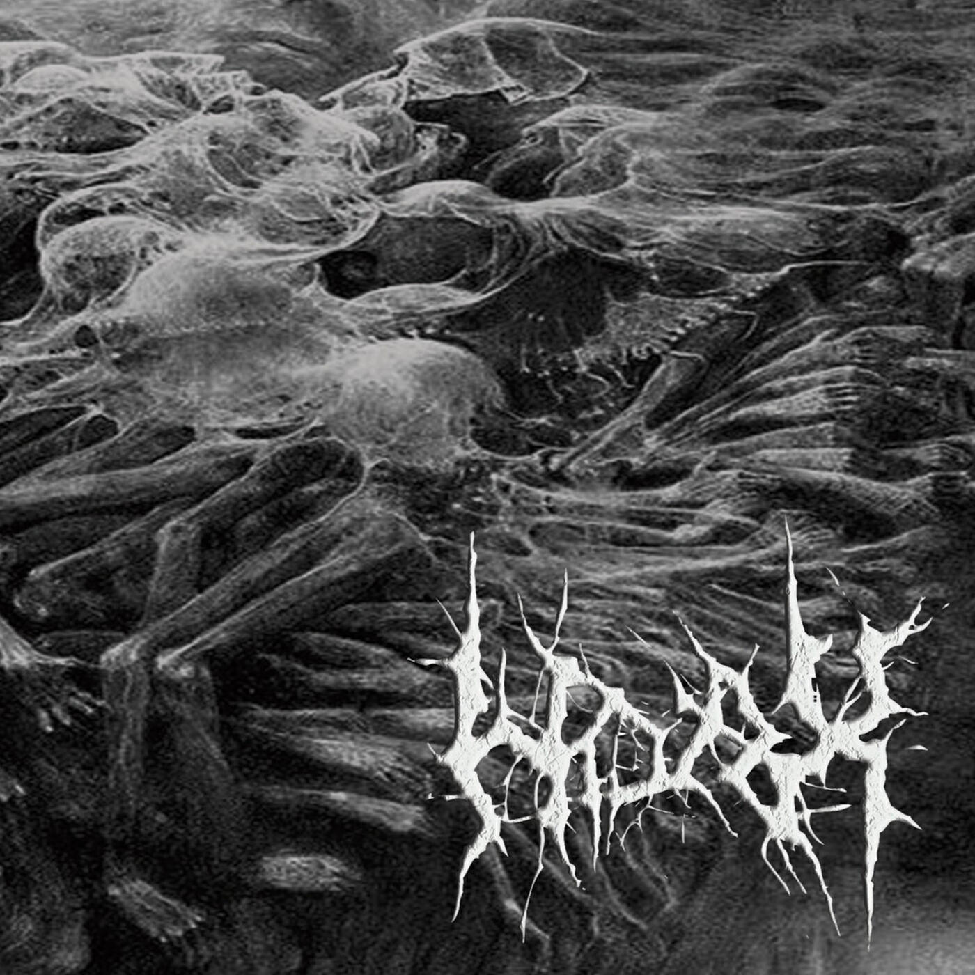 HOAX deathgrind