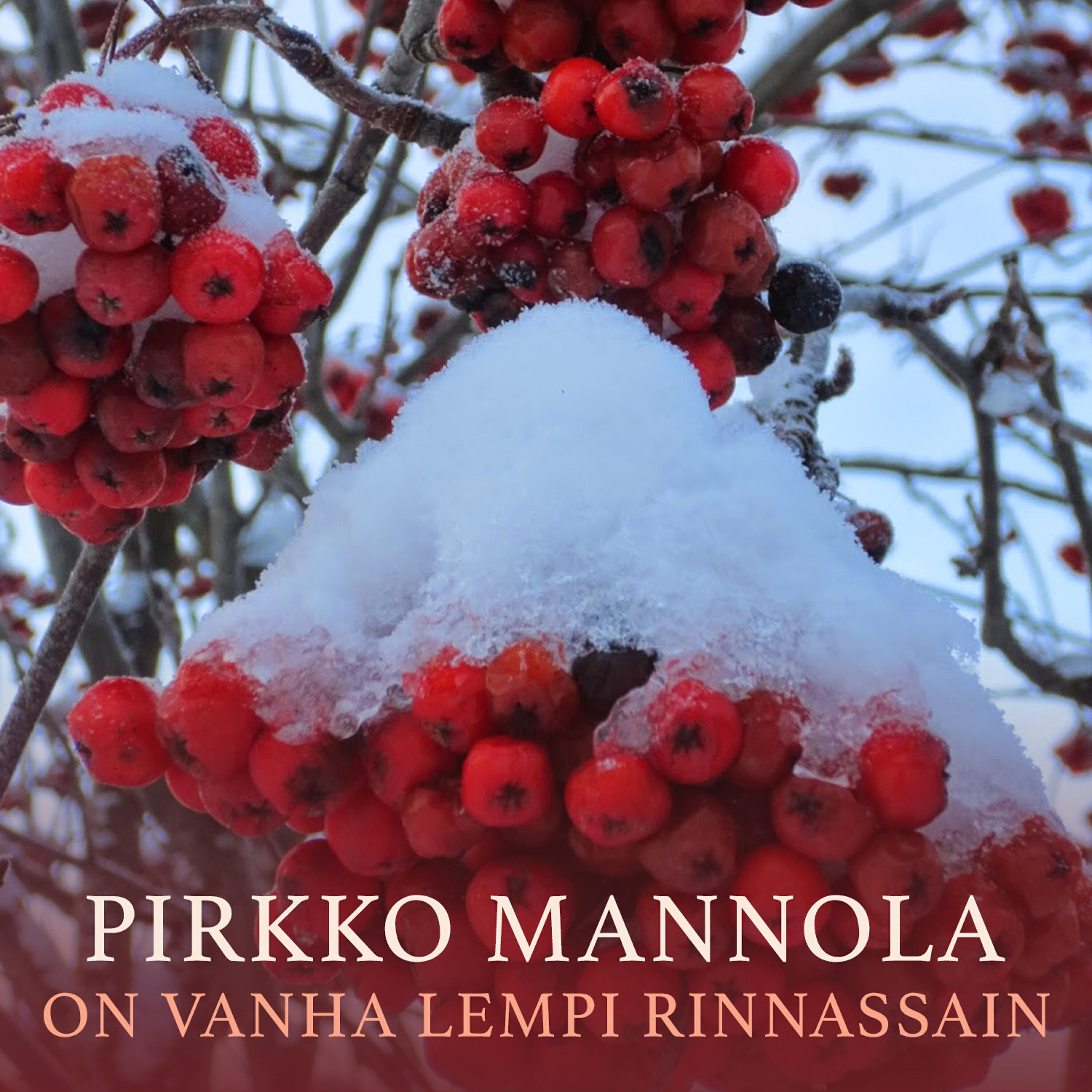 Релиз On Vanha Lempi Rinnassain