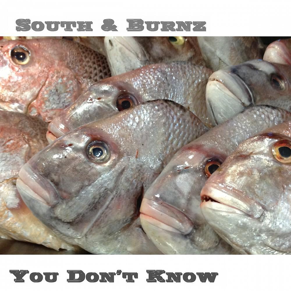 South & Burnz