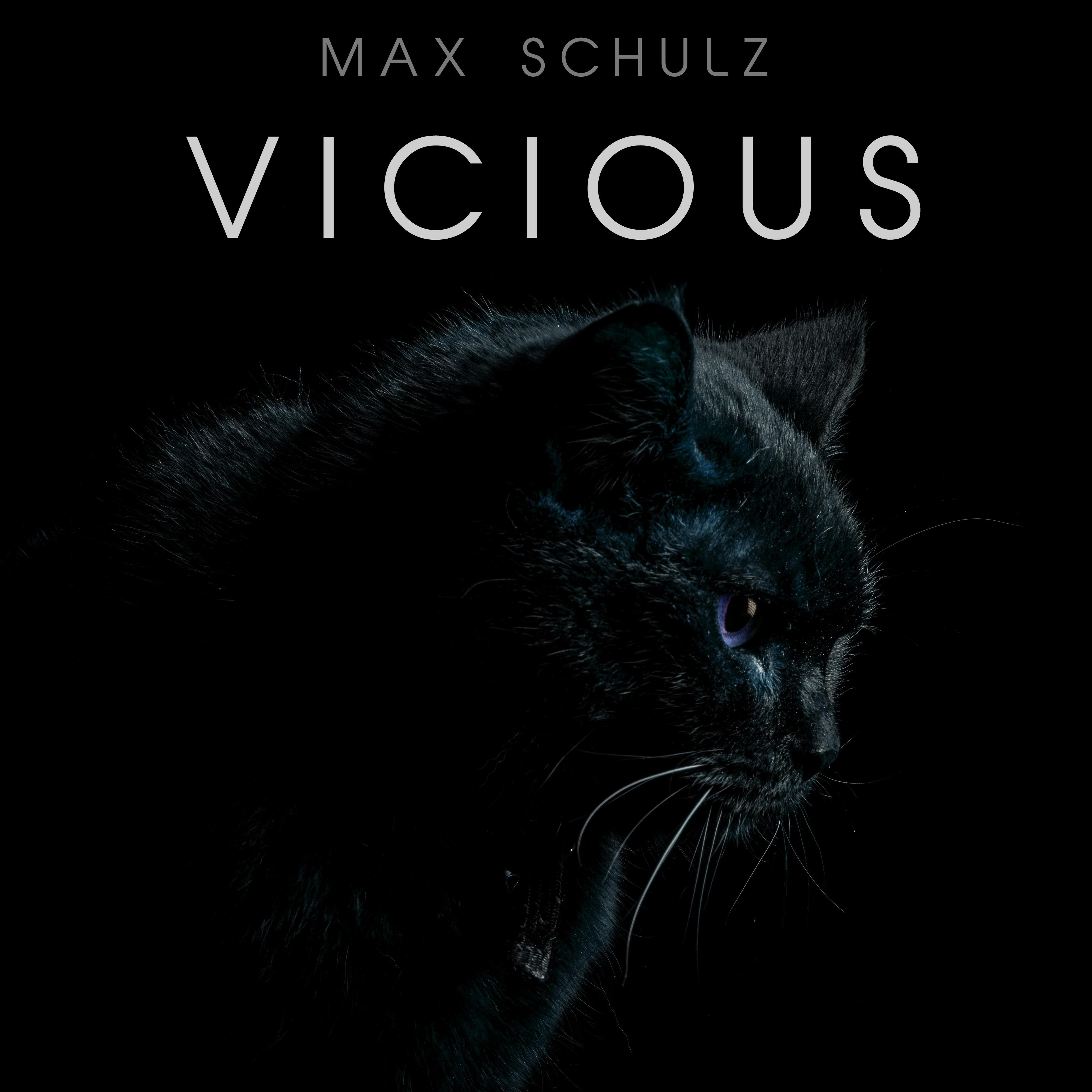 Релиз Vicious
