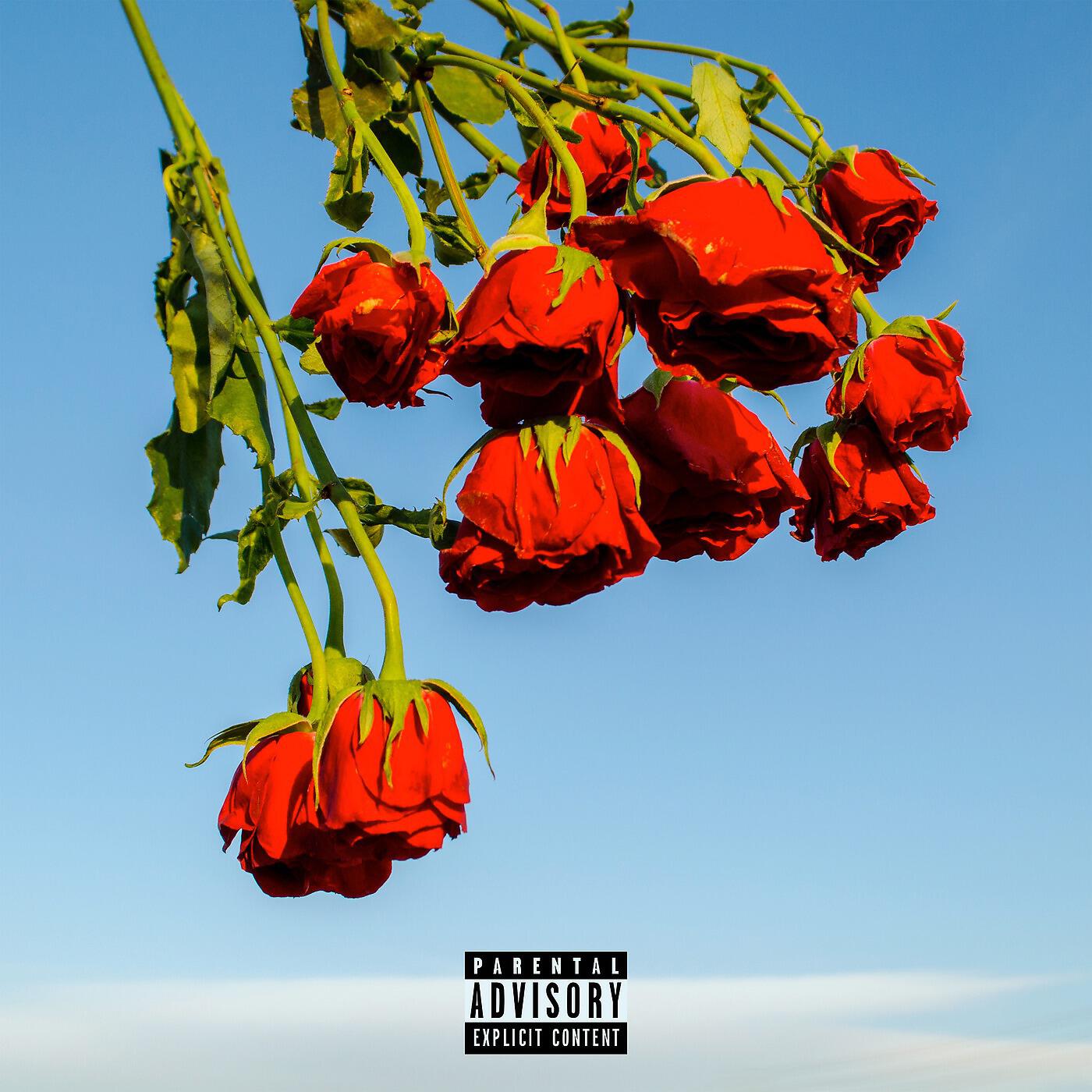 Релиз When I'm Gone (feat. EverythingOShauN)