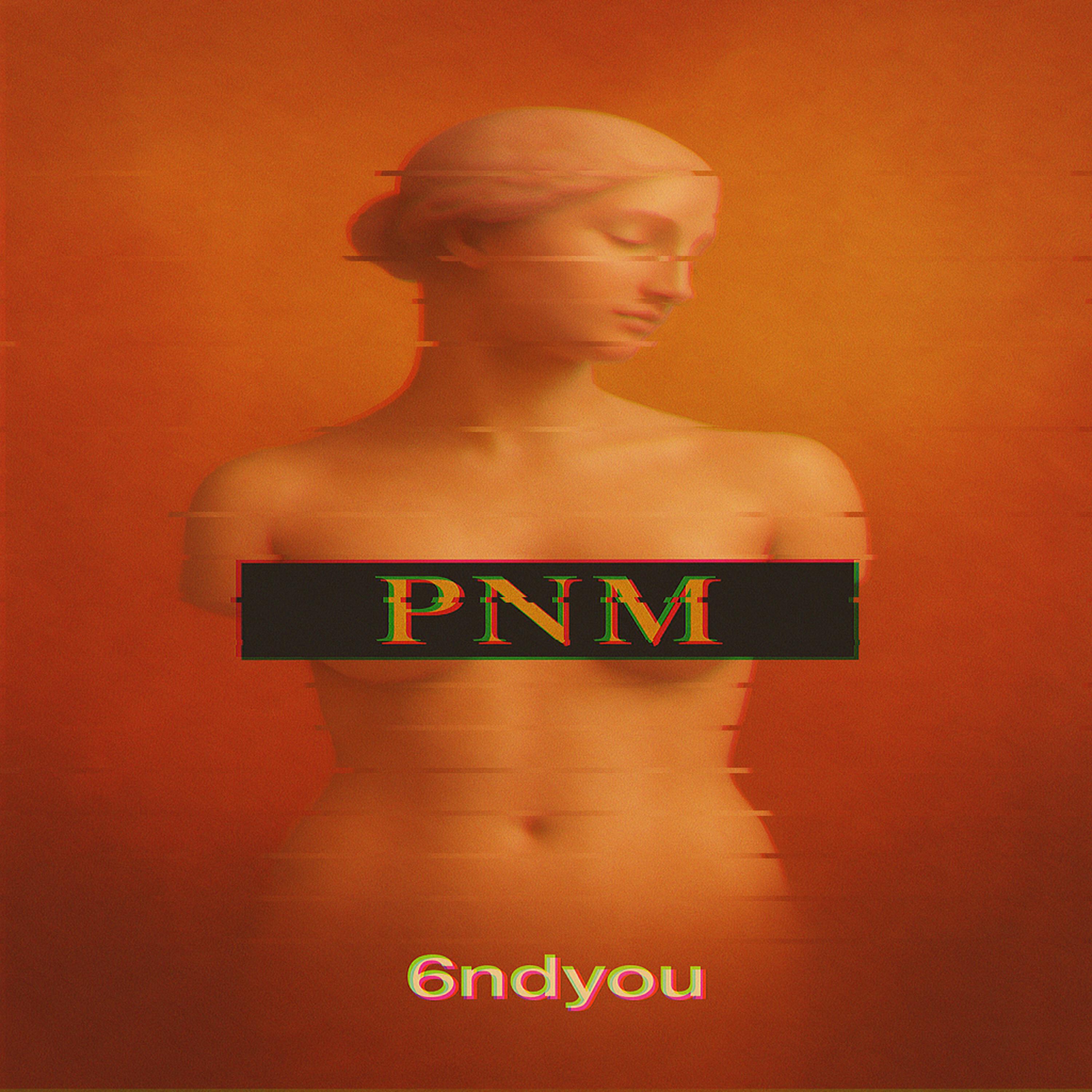 Релиз PNM