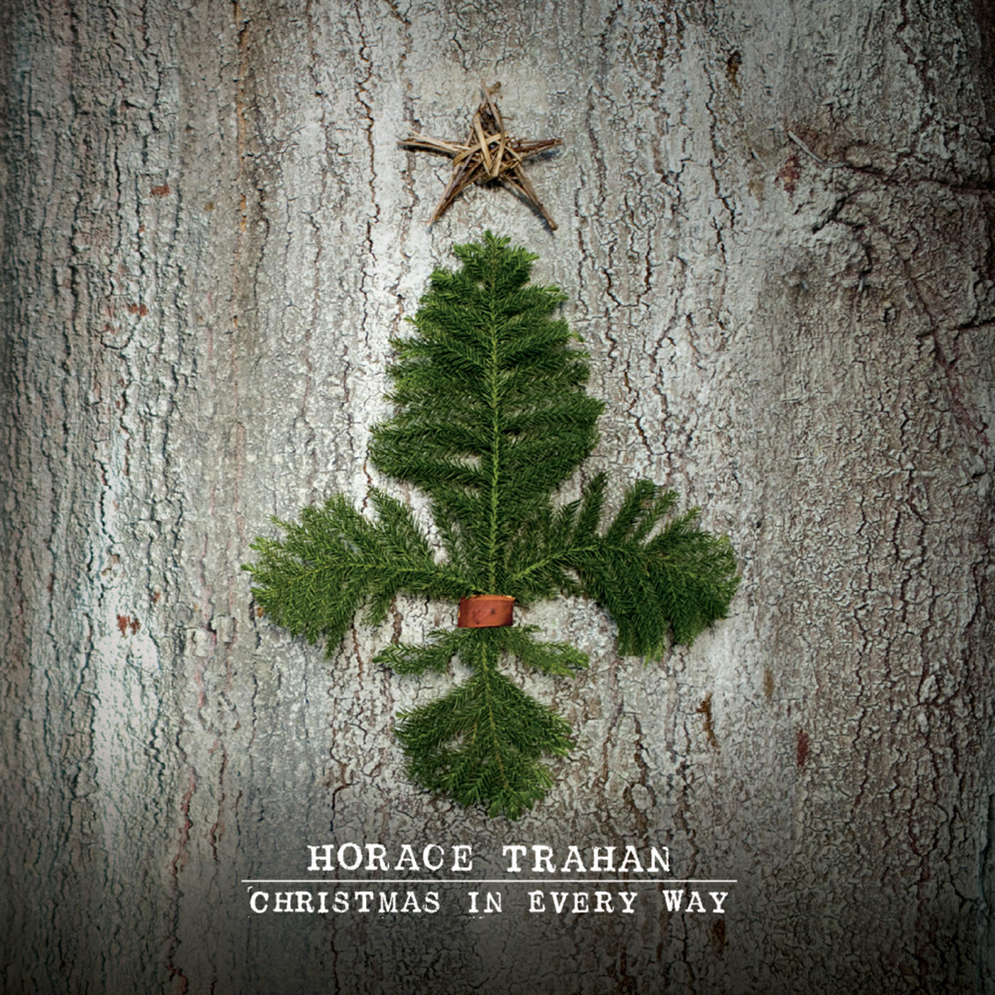 Релиз Christmas in Every Way