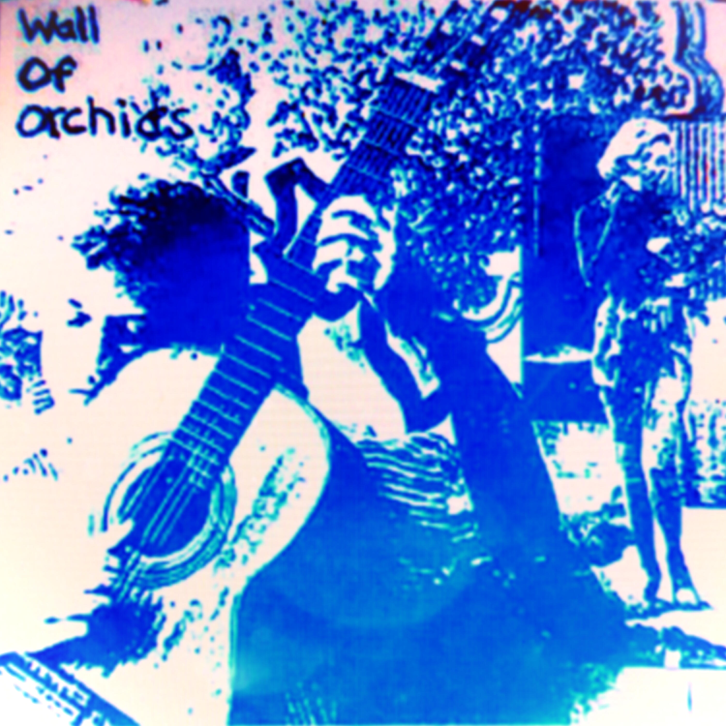 Релиз Wall of Orchids